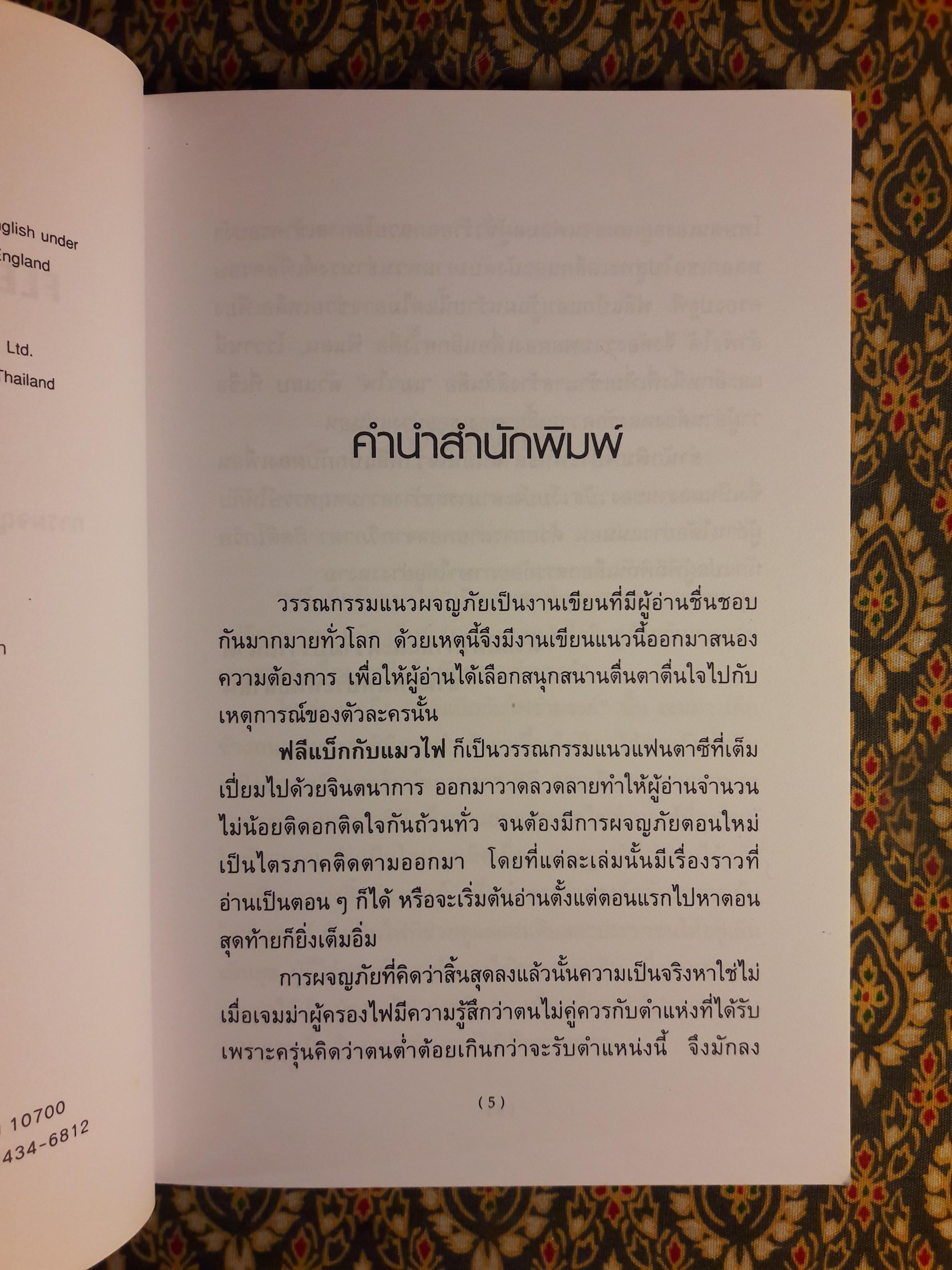 ฟลีแบ็กกับแมวไฟ FLEABAG AND THE FIRE CAT