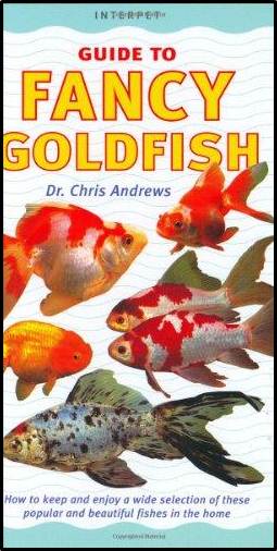 Fancy Goldfish ISBN 9781902389646