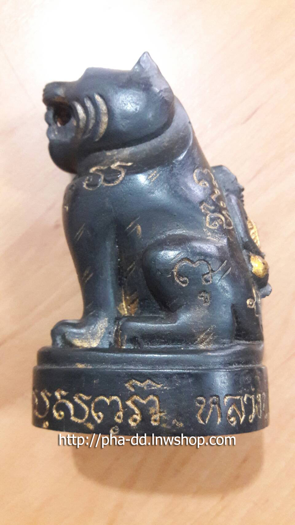 เสือหลวงปู่ปาน วัดแสมขาว จ.ฉะเชิงเทรา