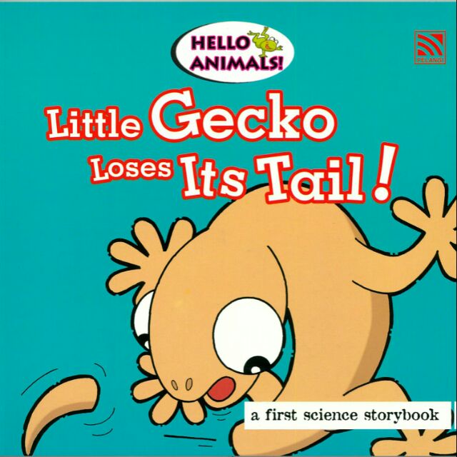 HELLO ANIMALS ! LITTLE GECKO LOSES ITS TAIL !