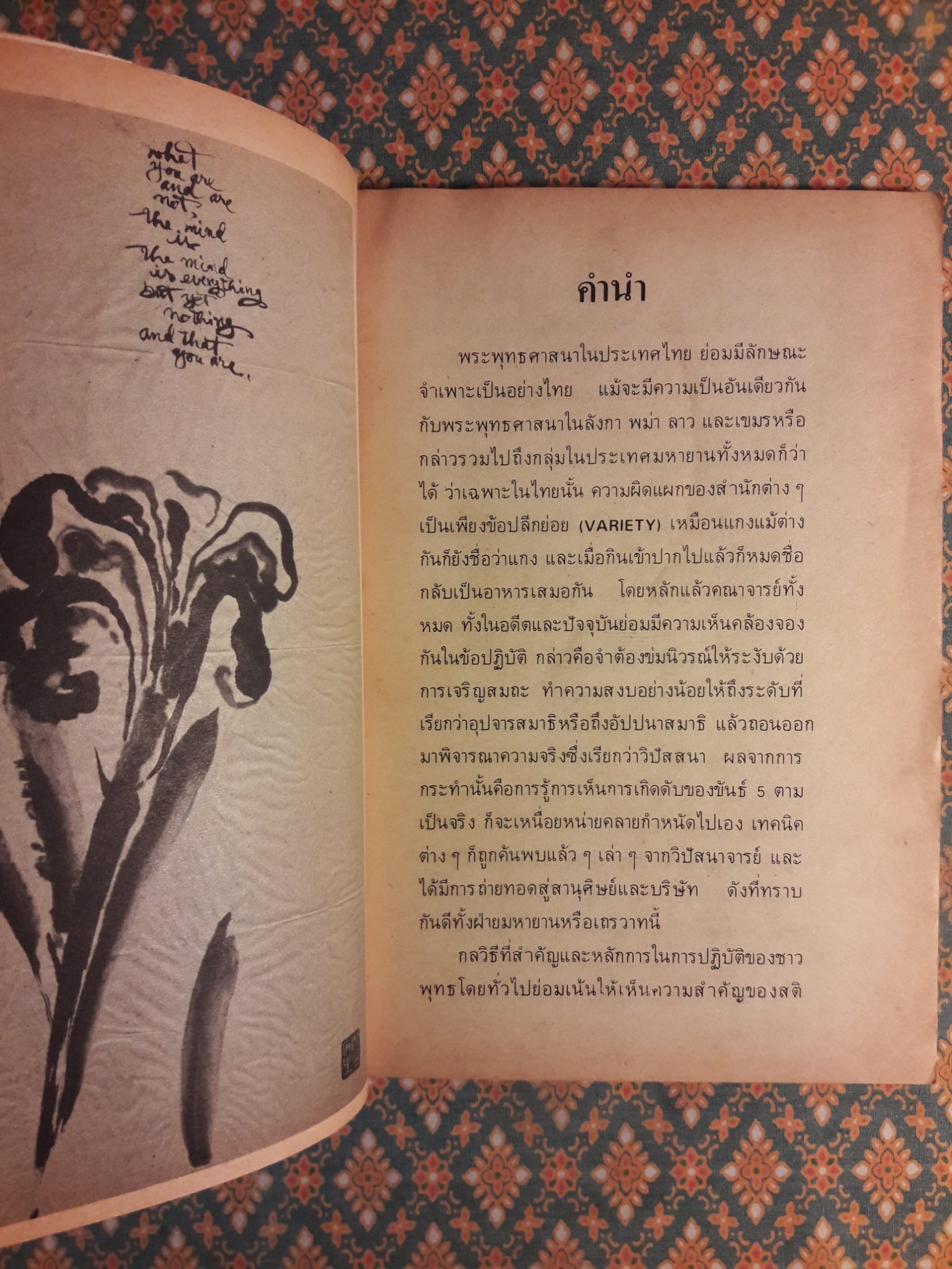 การประจักษ์แจ้งสัจจะ