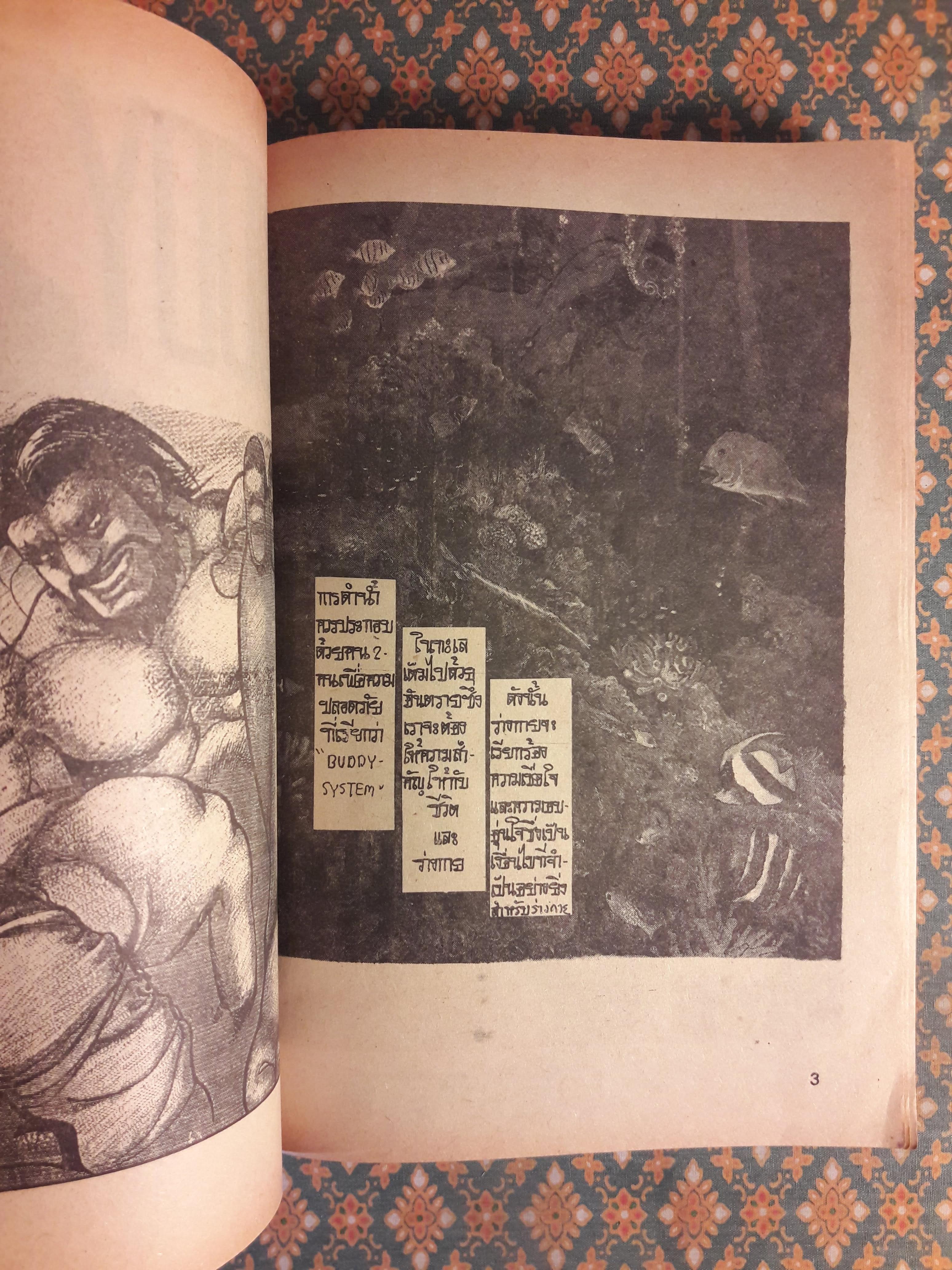 บัดดี้ คู่ทรนง Buddy (2 เล่มจบ)