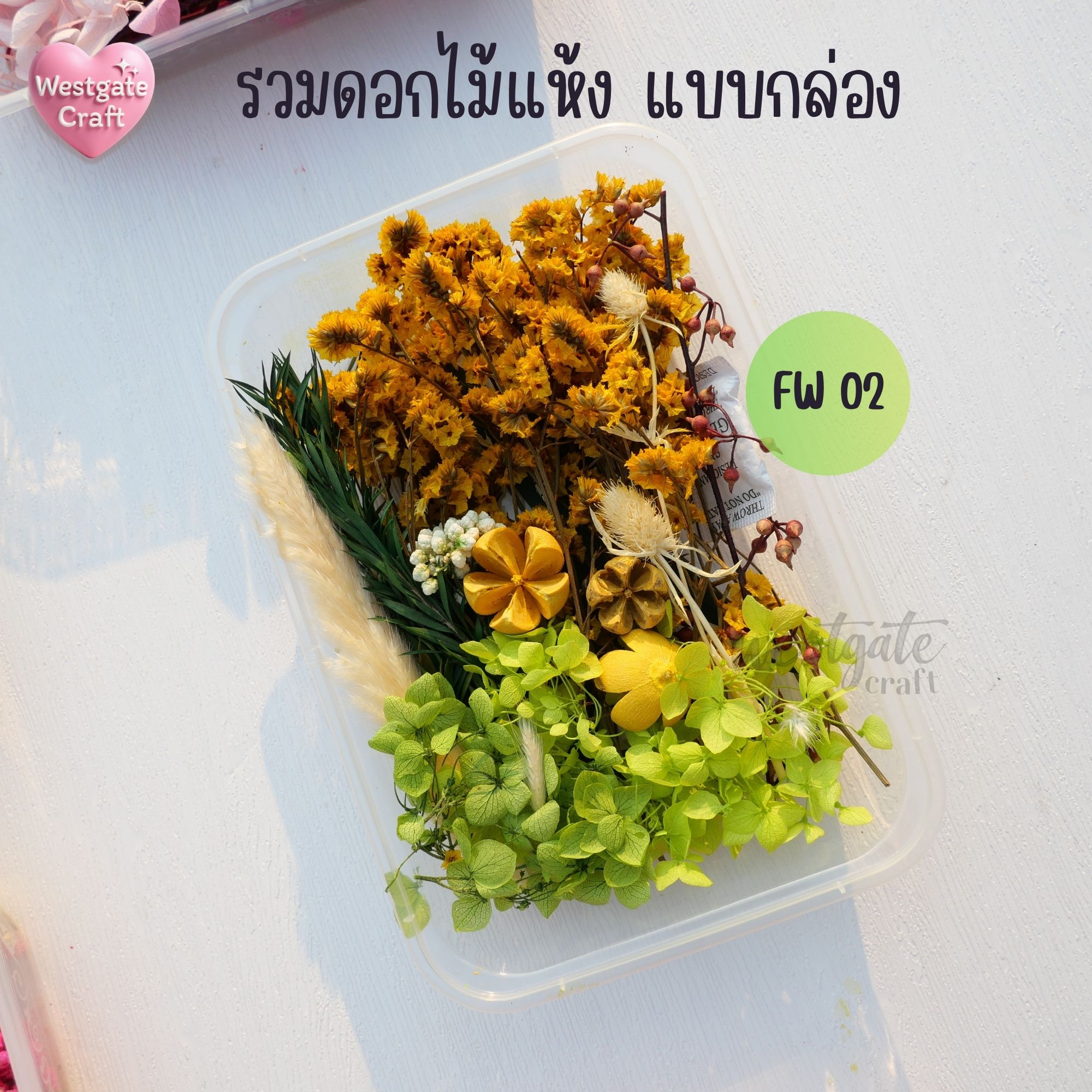 รวมดอกไม้แห้ง แบบกล่อง คละขนาด FW 01-09 , ดอกไม้แห้งจริง