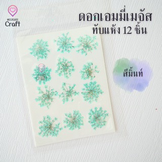 ดอกเอมมี่เมจัส 12 ดอก ดอกไม้แห้งทับ