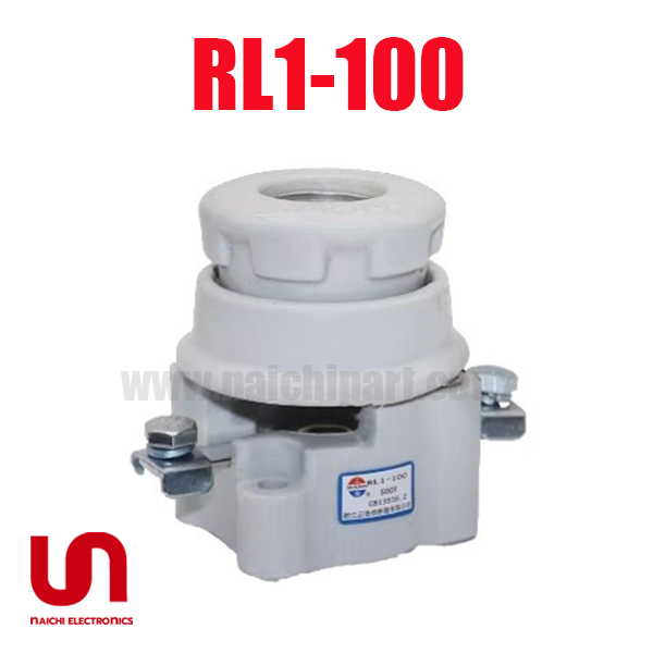 RL1-100 500V 100A