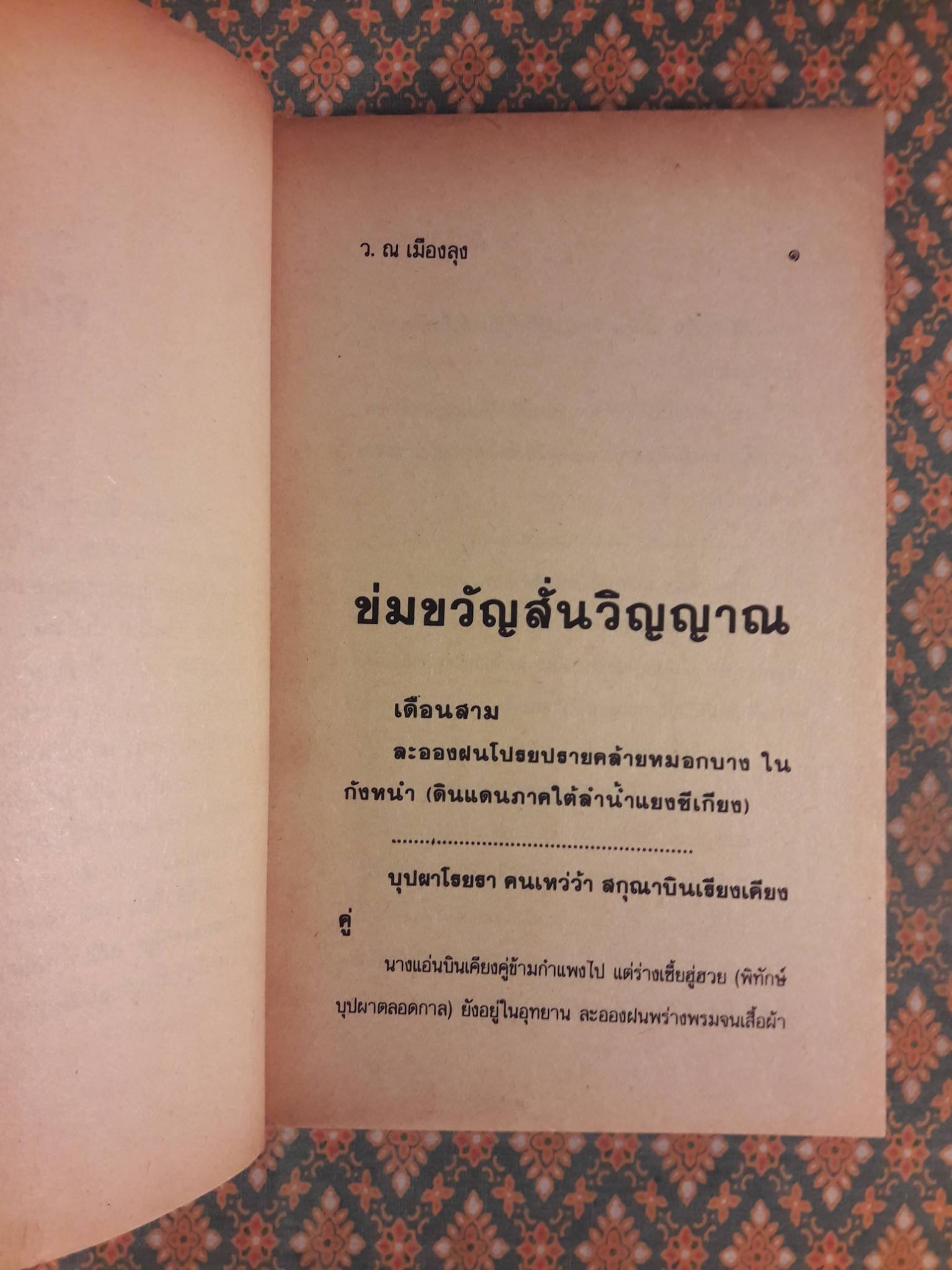 ผีเสื้อสยองขวัญ (2 เล่มจบ)