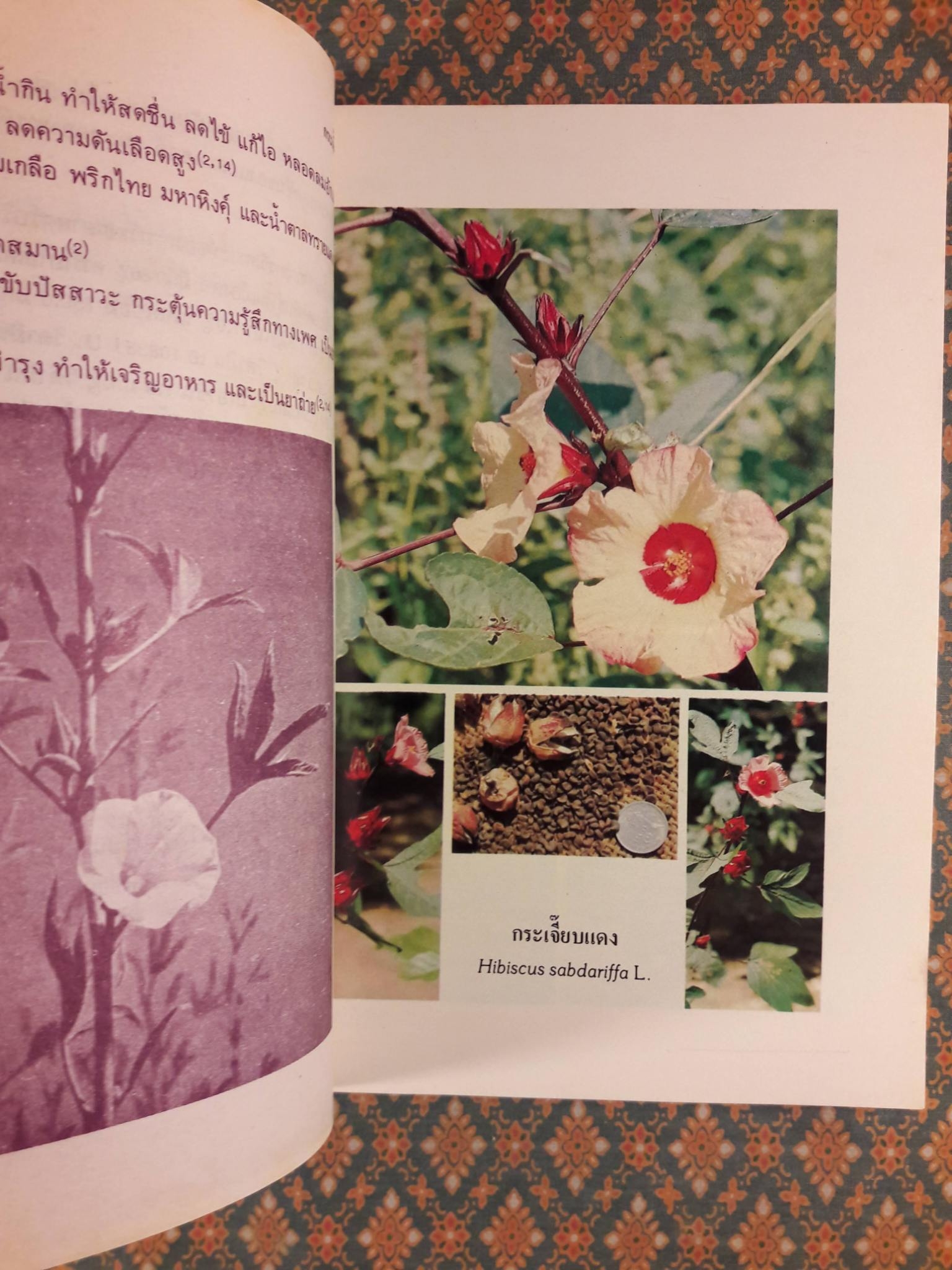 สมุนไพร อันดับที่ 02