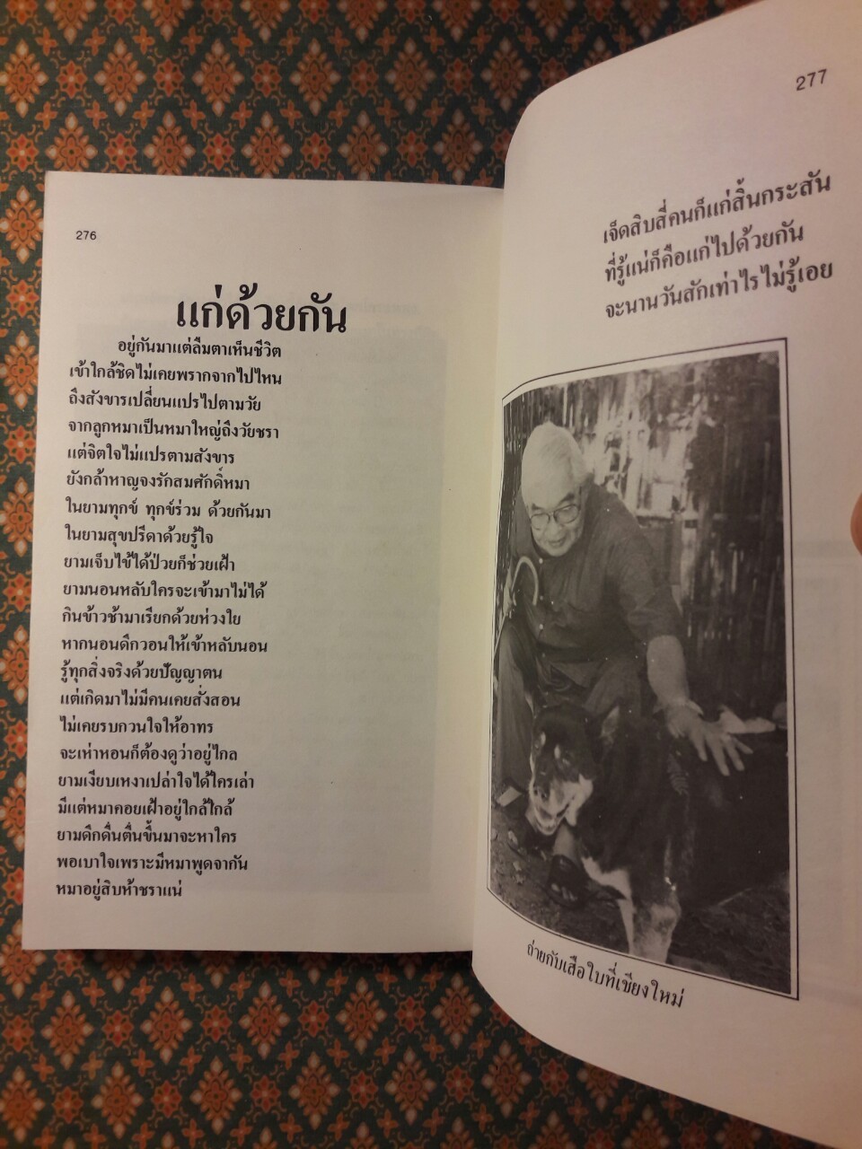 คนรักหมา