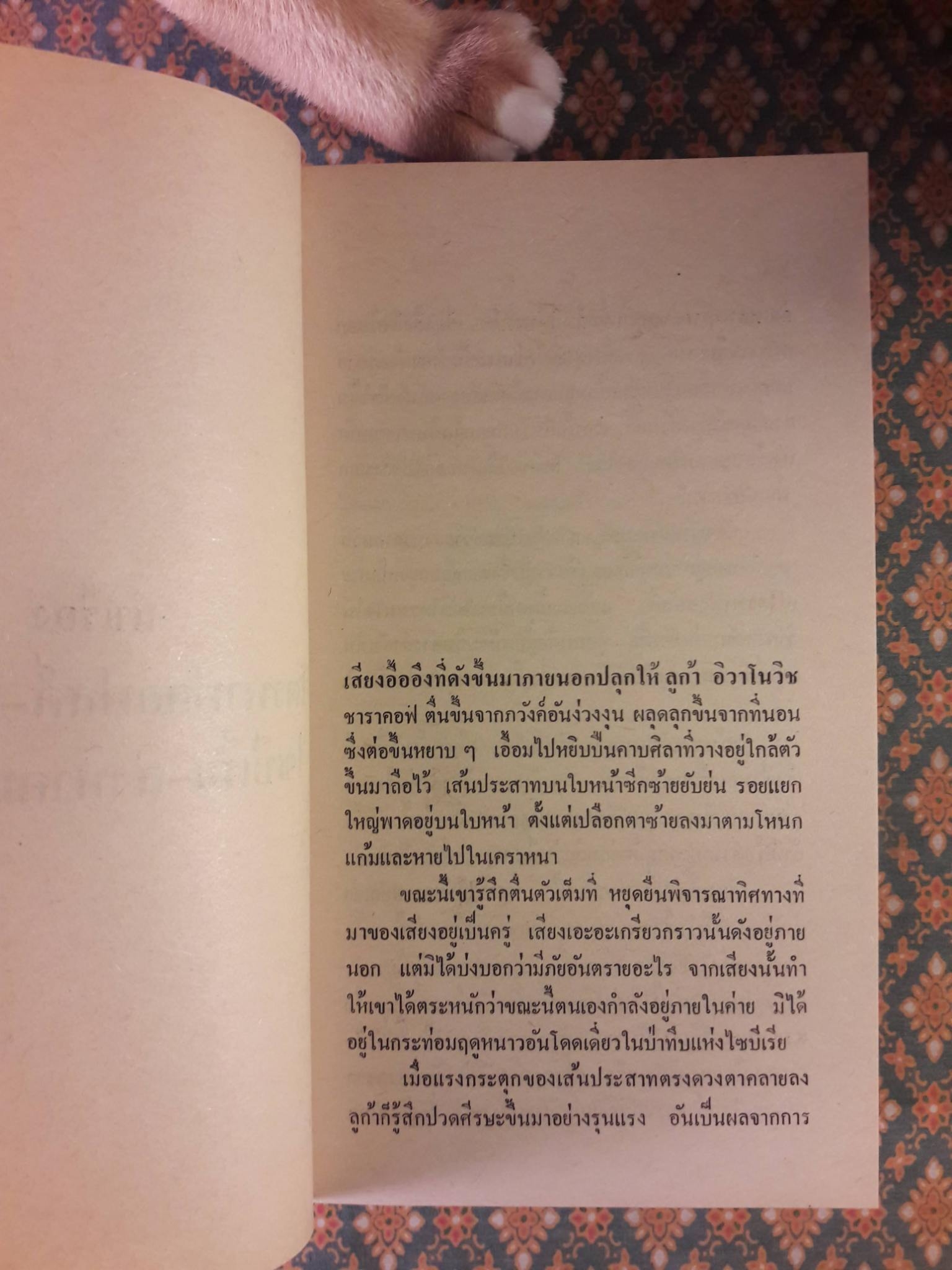 ขอบฟ้าสีน้ำเงิน The Great Alone (2 เล่มจบ)