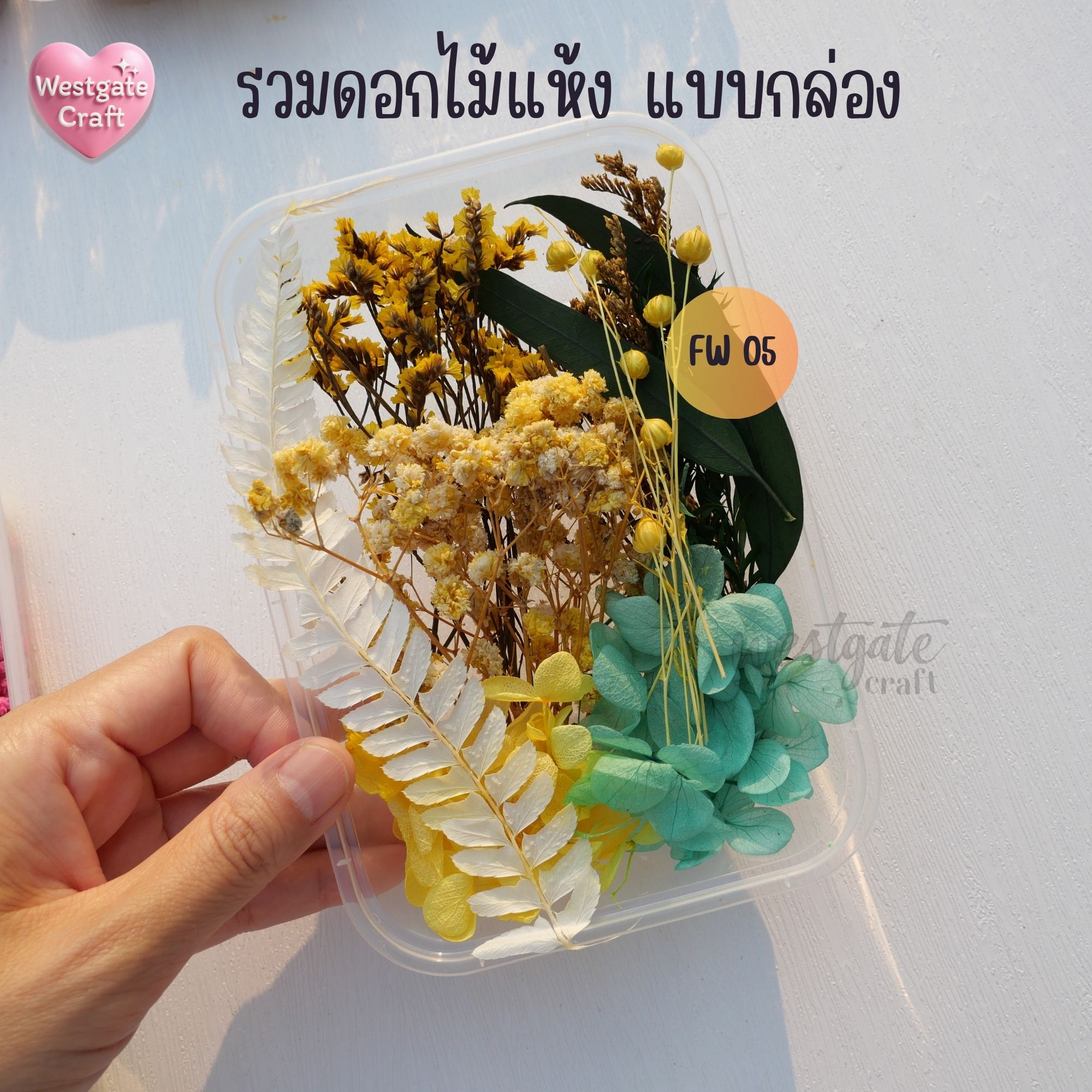 รวมดอกไม้แห้ง แบบกล่อง คละขนาด FW 01-09 , ดอกไม้แห้งจริง
