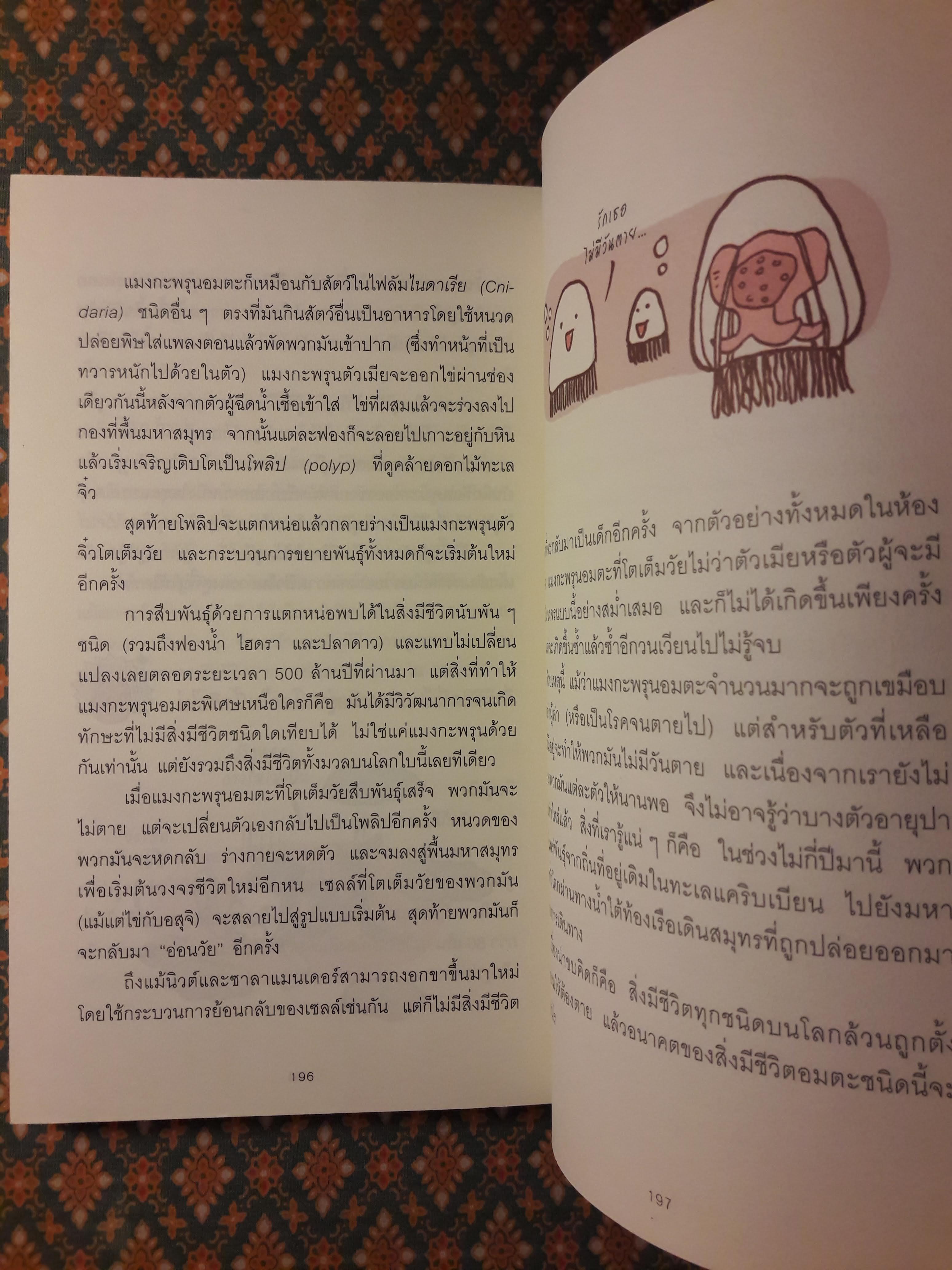 ลบเหลี่ยมไอน์สไตน์ 3 The Book of General ignorance