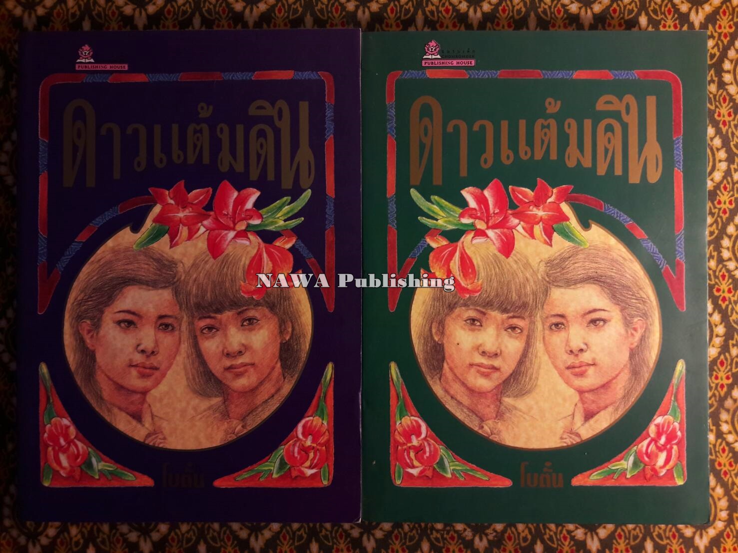 ดาวแต้มดิน (2 เล่มจบ)