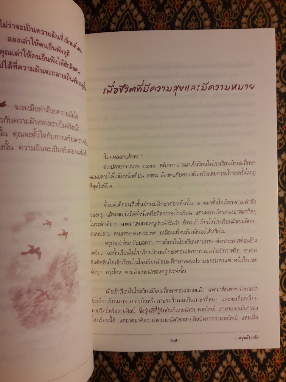 หยุดก็จะเห็น