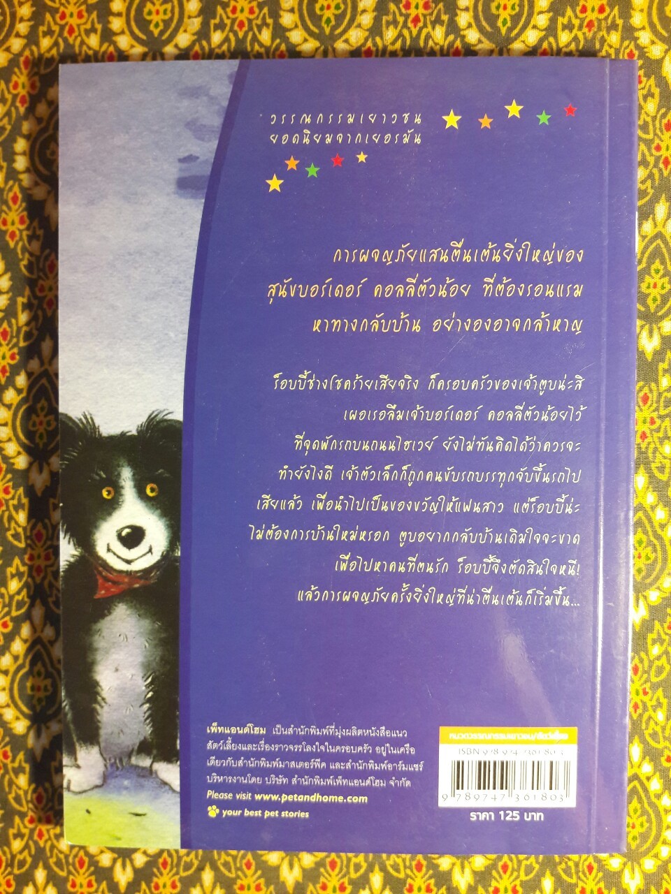 ร็อบบี้ ผมอยากกลับบ้าน Robbie Will Wieder Nach House