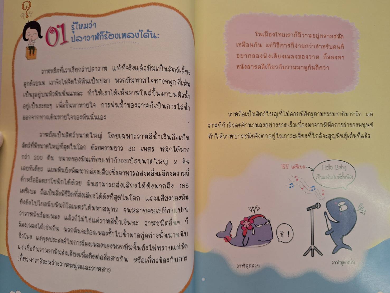 Expernet หนังสือ อัจฉริยะได้อีก!