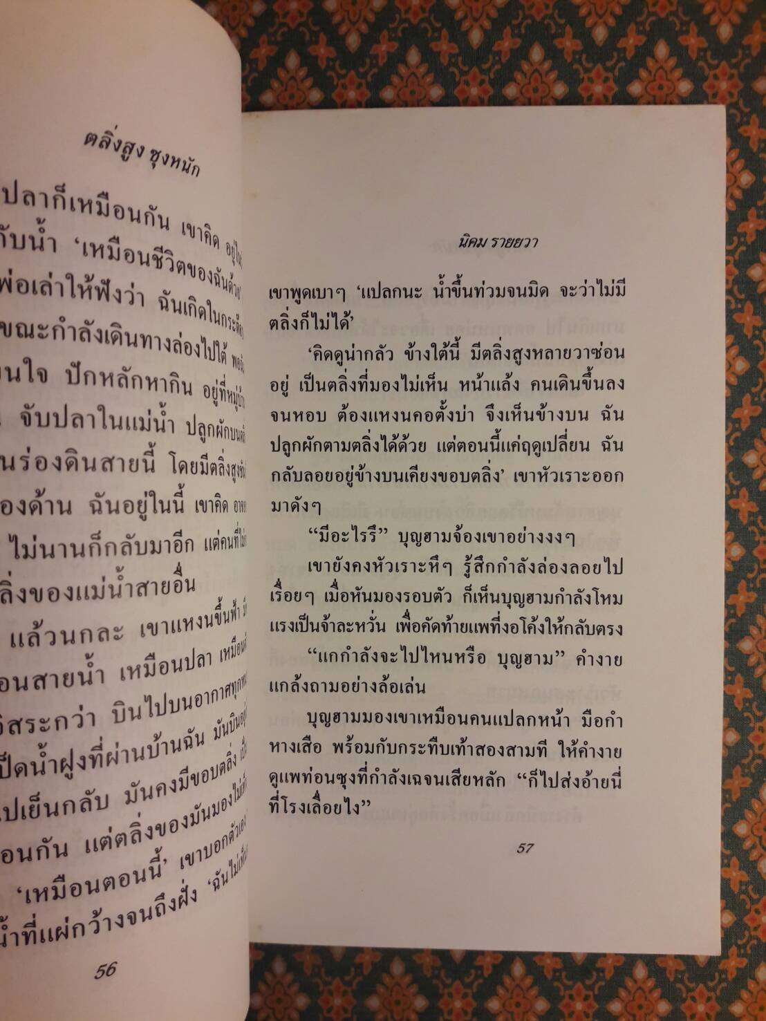 ตลิ่งสูงซุงหนัก “หนังสือรางวัลซีไรต์”