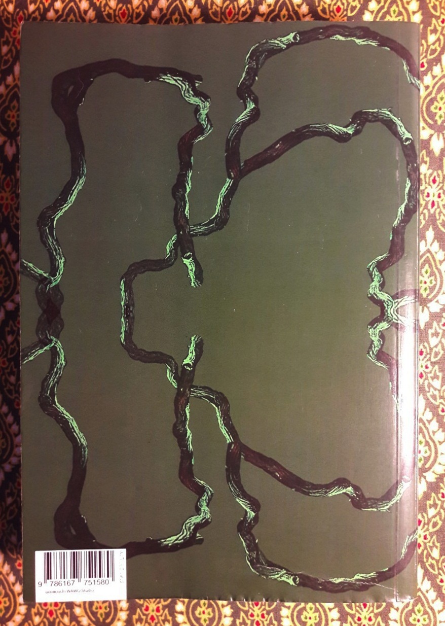 ลับแล, แก่งคอย ฉบับนักเรียน “หนังสือรางวัลซีไรต์ ประจำปี 2552”