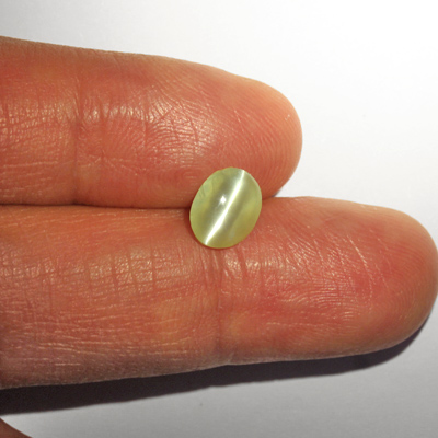 คริสโซเบริลตาแมวหรือไพฑูรย์ (Cat's eye Chrysoberyl) 1.34 กะรัต จากอินเดีย