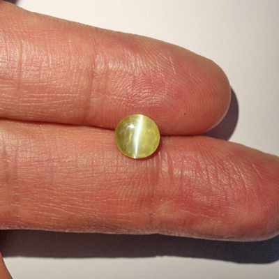 คริสโซเบริลตาแมวหรือไพฑูรย์ (Cat's eye Chrysoberyl) 1.13 กะรัต จากอินเดีย