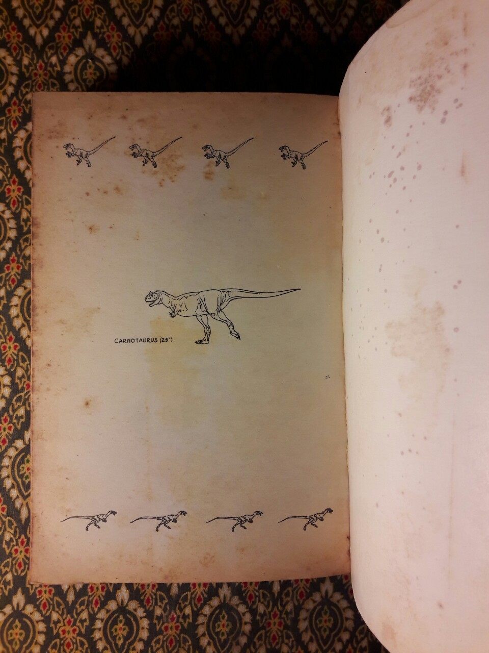 จูราสสิกปาร์ก (ภาค 2)