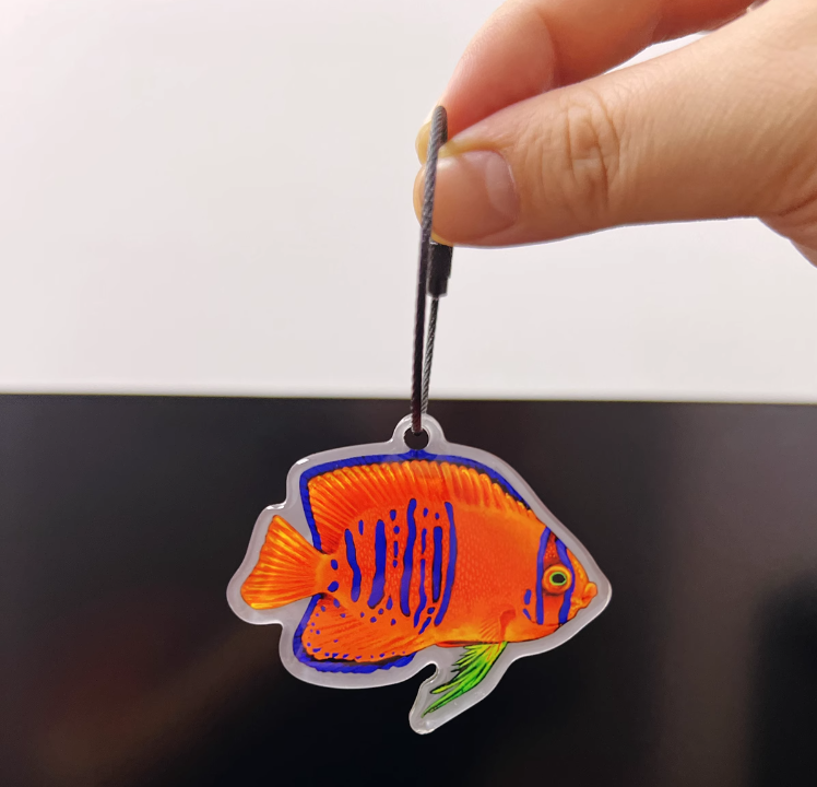 พวกกุญแจ