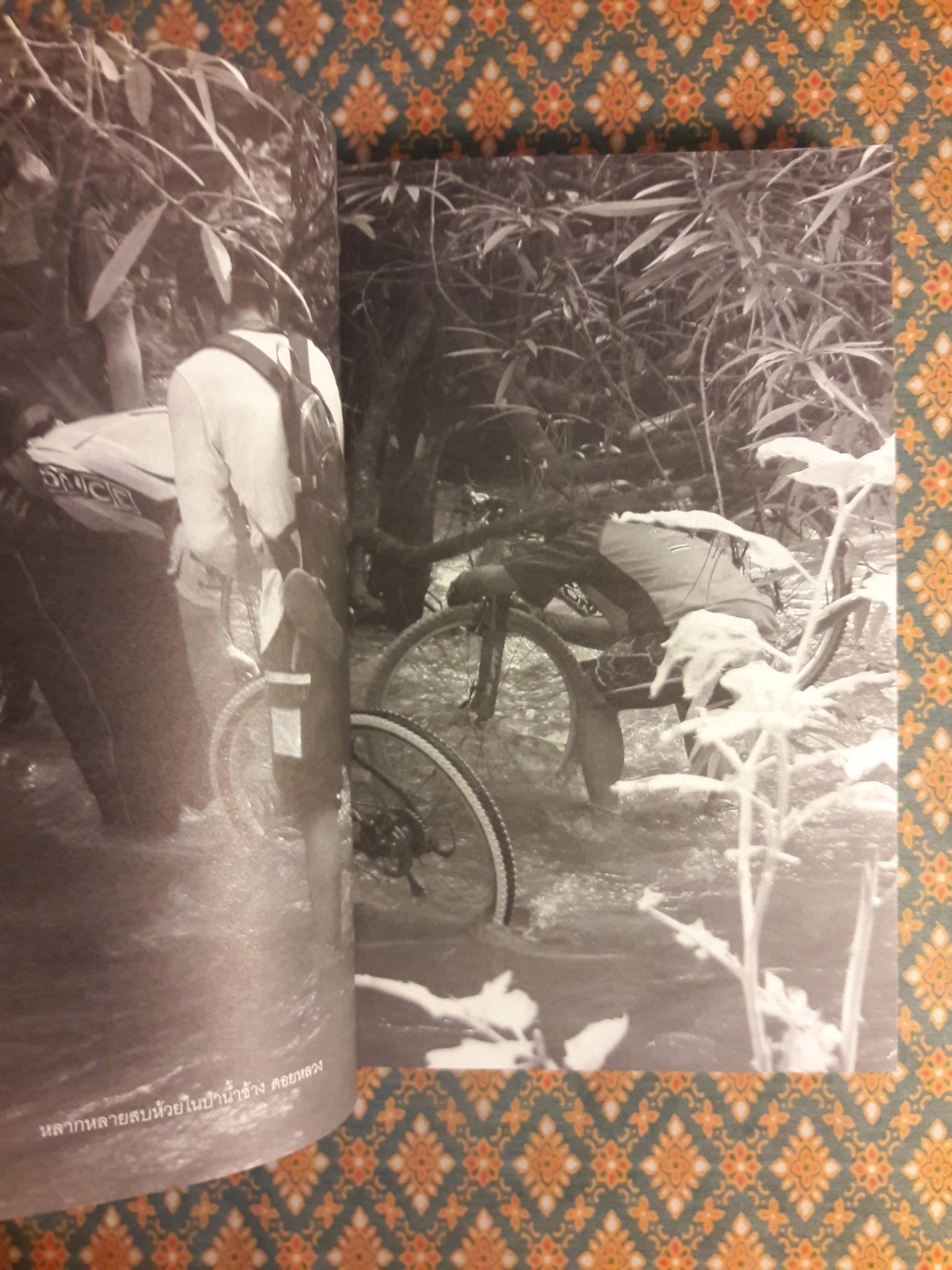 ฅนขี่เสือ ท่องสี่แผ่นดิน