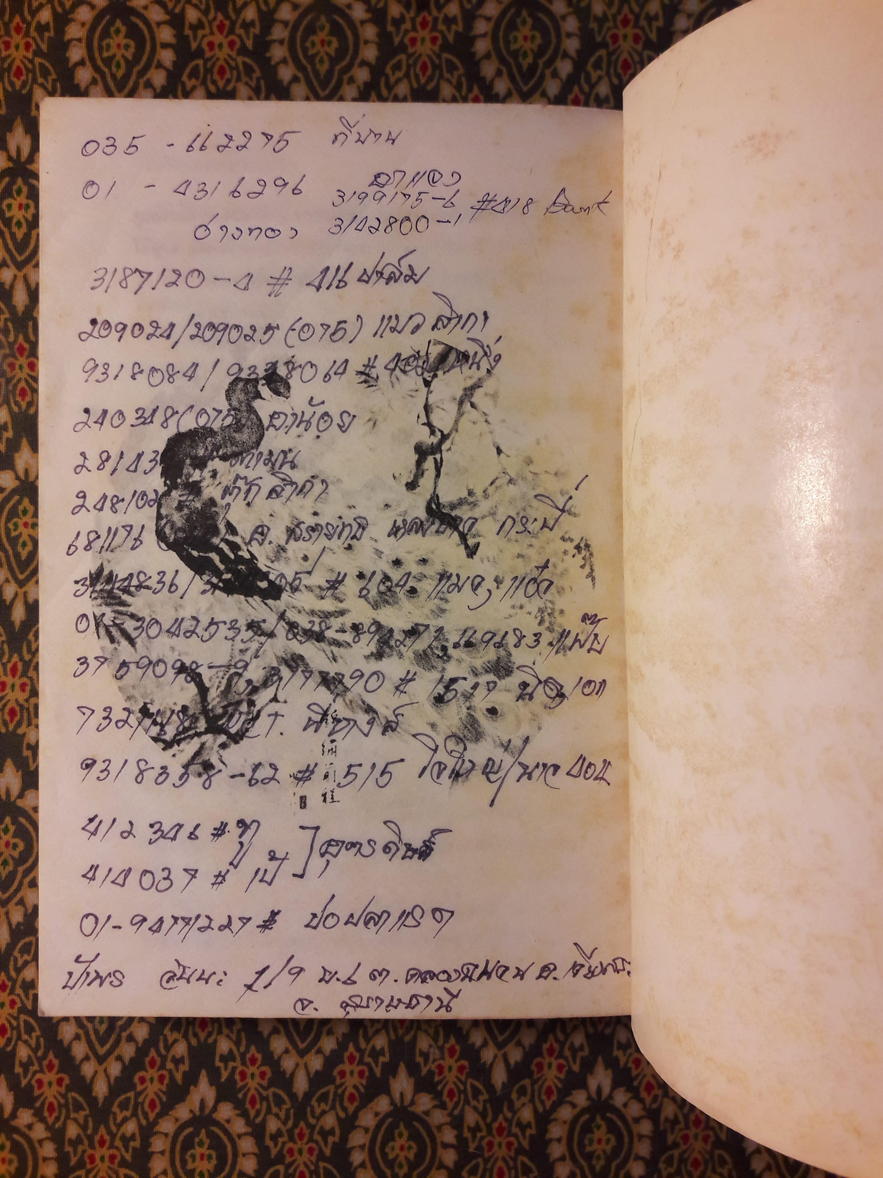 ก่อนสายหมอกเลือน