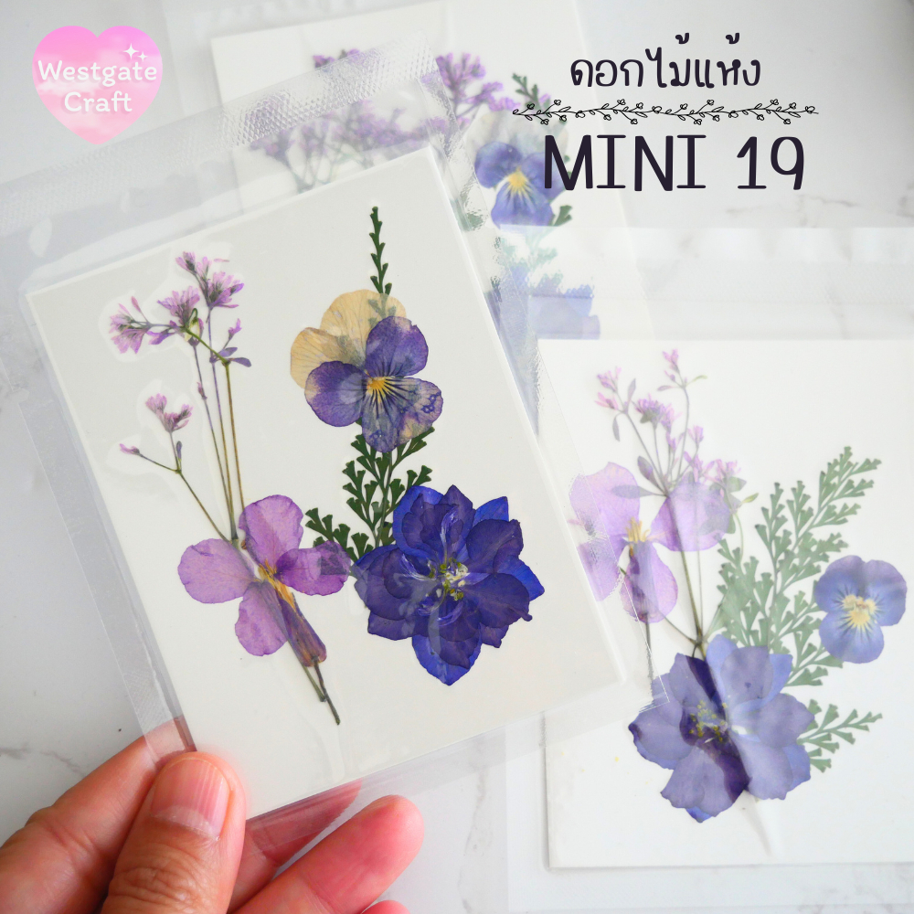 รวมดอกไม้แห้ง Mini ดอกไม้แห้งทับ ดอกไม้แบบคละ ดอกไม้จริง ดอกไม้งานฝีมือ