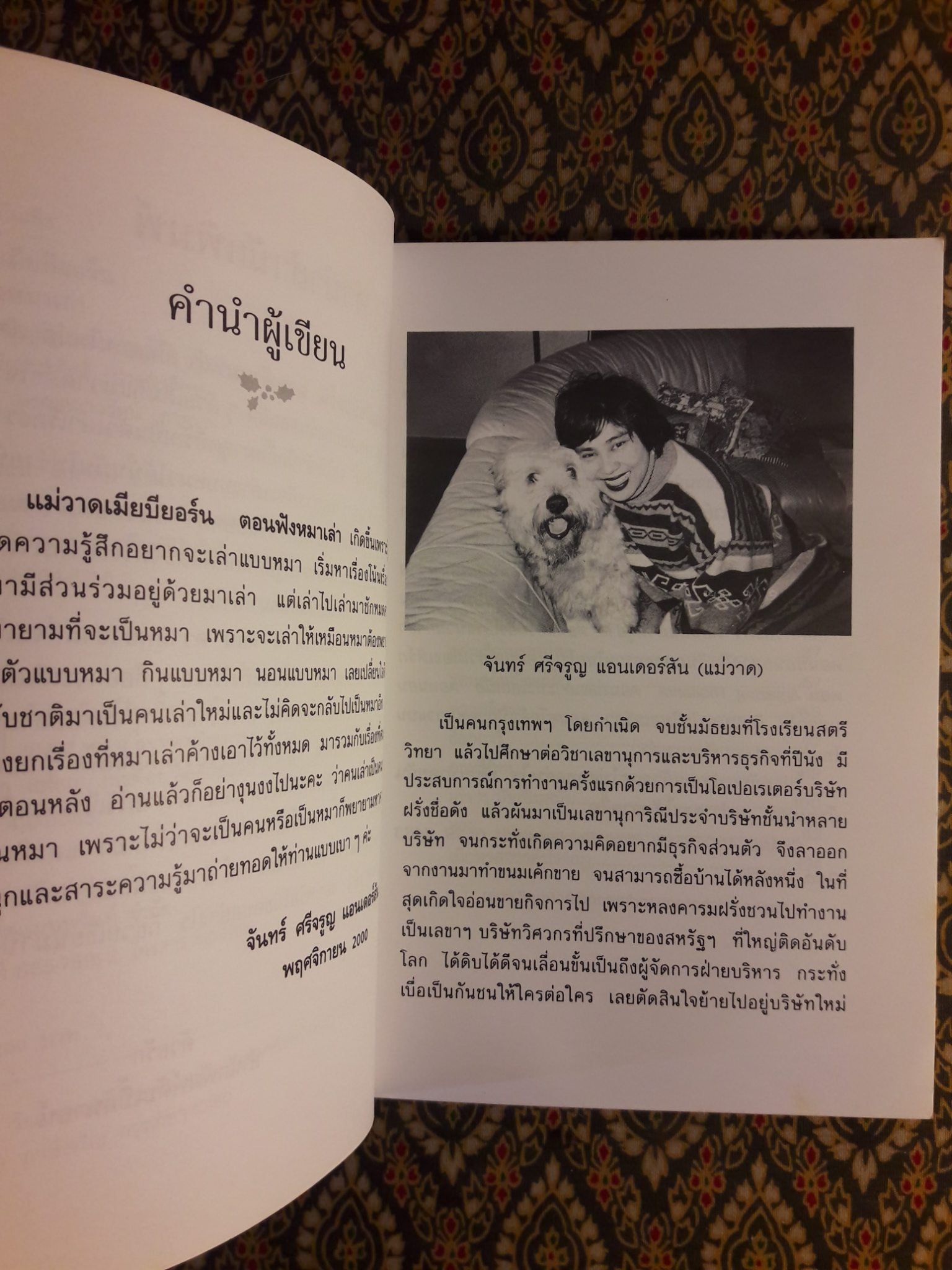 แม่วาดเมียบียอร์น ตอนฟังหมาเล่า