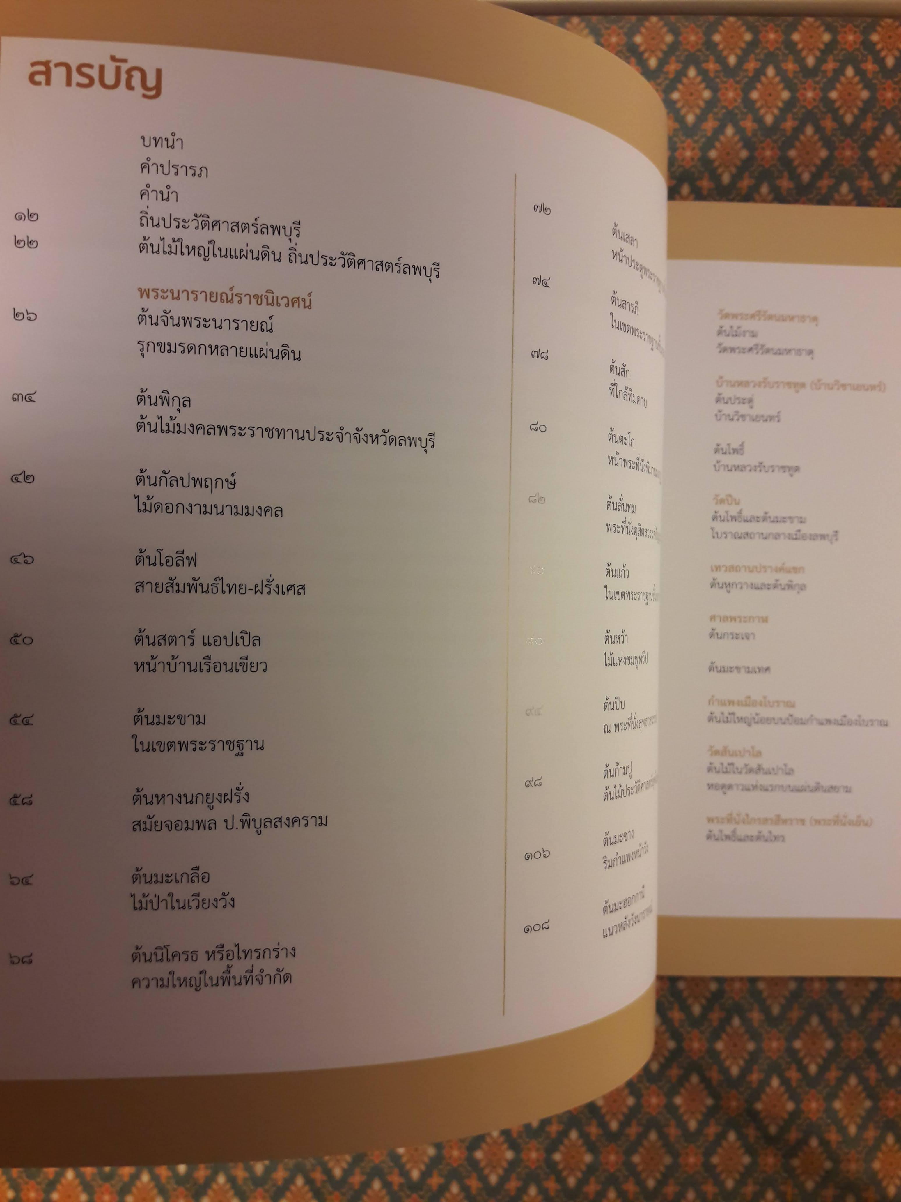 ต้นไม้ใหญ่ในแผ่นดินถิ่นประวัติศาสตร์ลพบุรี Big Trees in Lop Buri's Archacological Sites