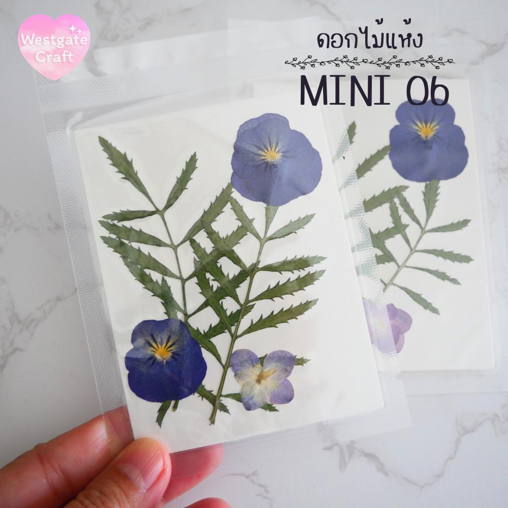 รวมดอกไม้แห้ง Mini ดอกไม้แห้งทับ ดอกไม้แบบคละ ดอกไม้จริง ดอกไม้งานฝีมือ
