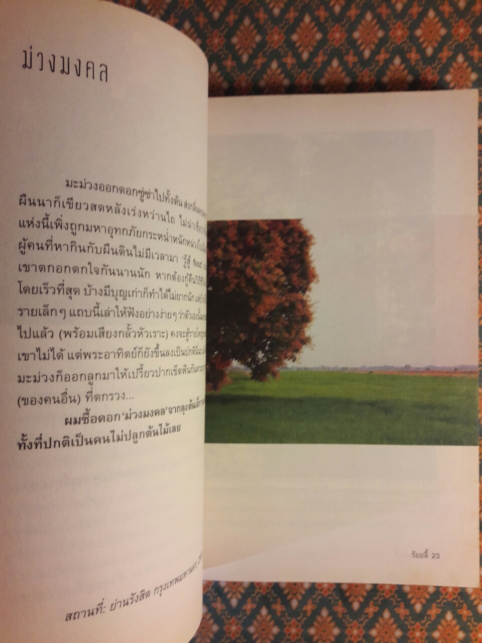 เกรท แซ่ ลี้ The Great Escape “พร้อมลายเซ็นนักเขียน”