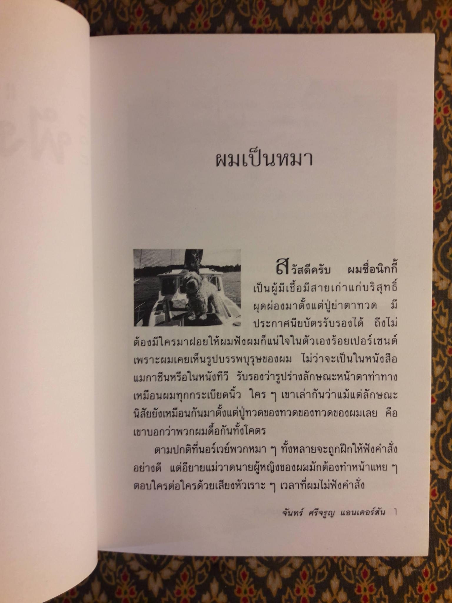 แม่วาดเมียบียอร์น ตอนฟังหมาเล่า