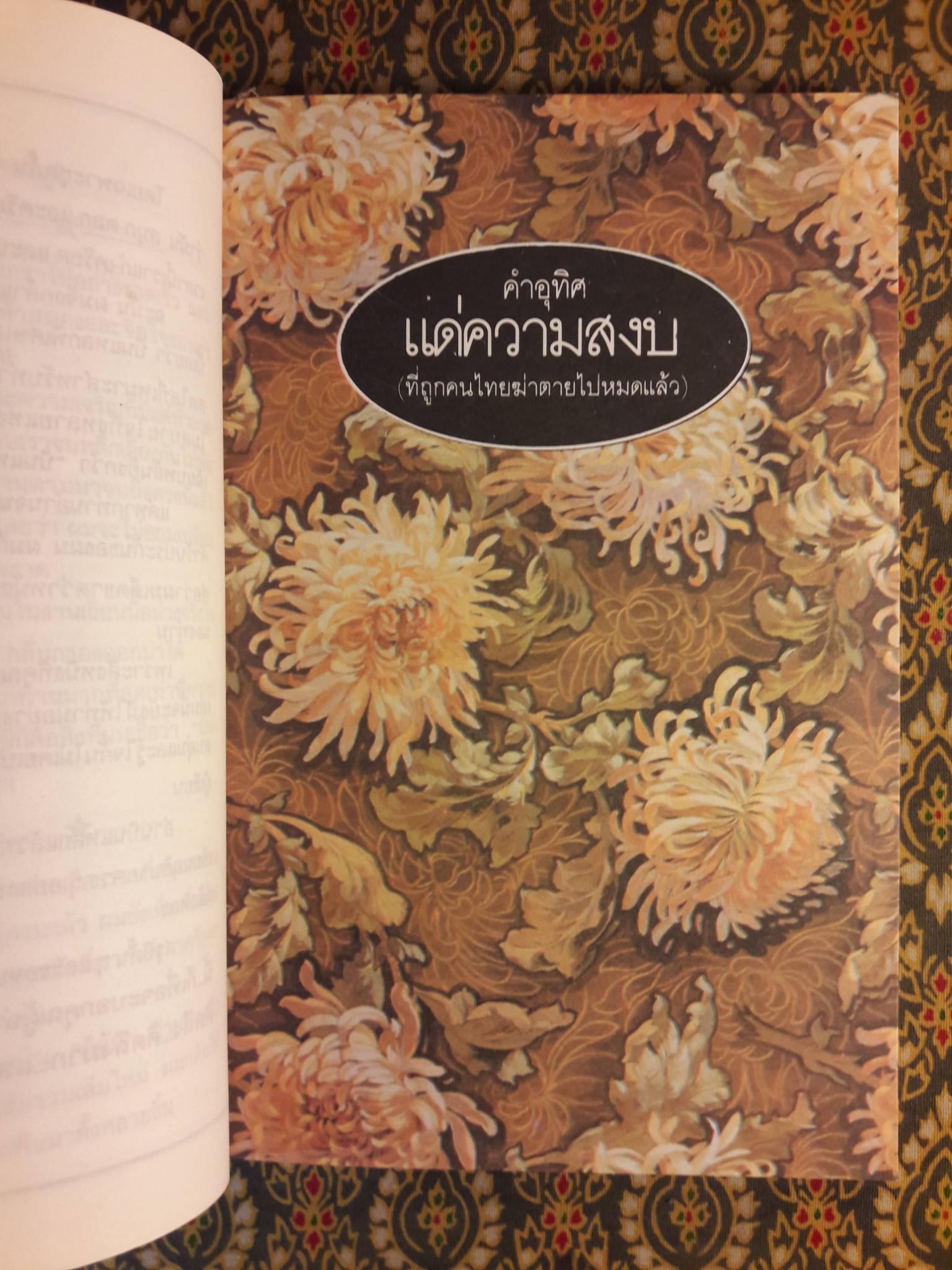 บินแหลก พิเศษ หาที่เขียนเรื่อง