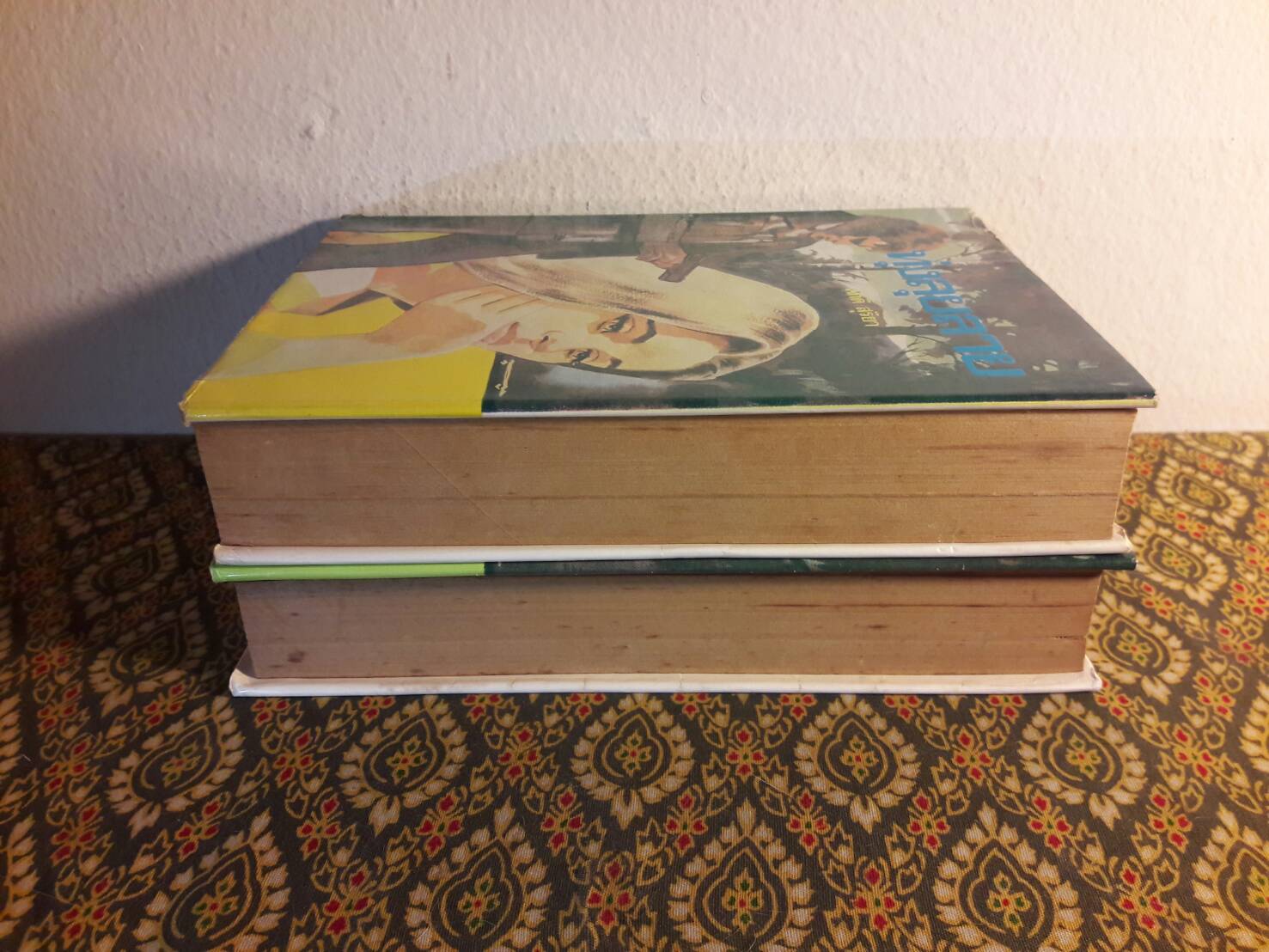 ทุ่งลุยลาย (2 เล่มจบ) “ภาคต่อชุมแพ”