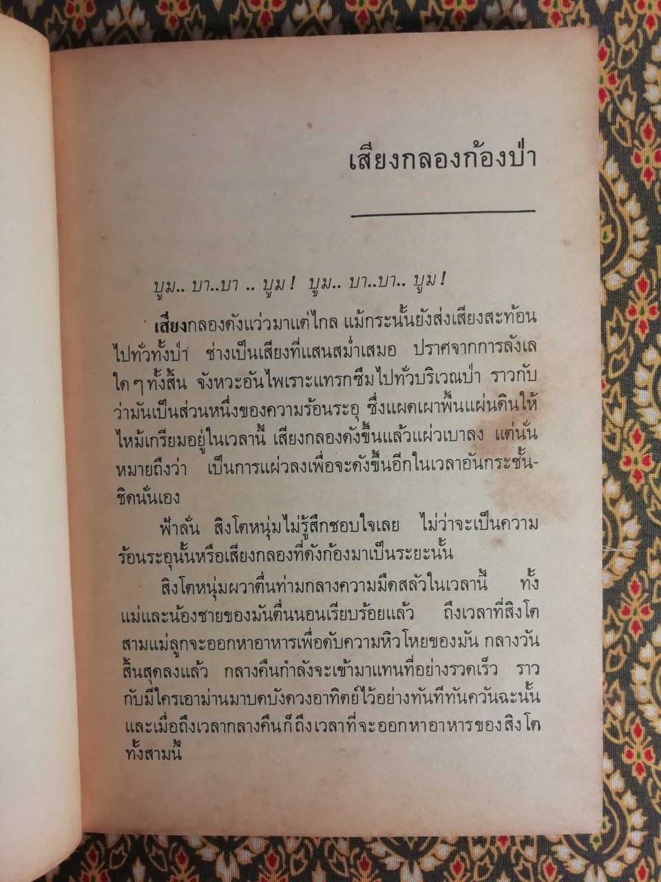 ตามล่า การผจญภัยของสิงห์หนุ่ม Lions on the Hunt