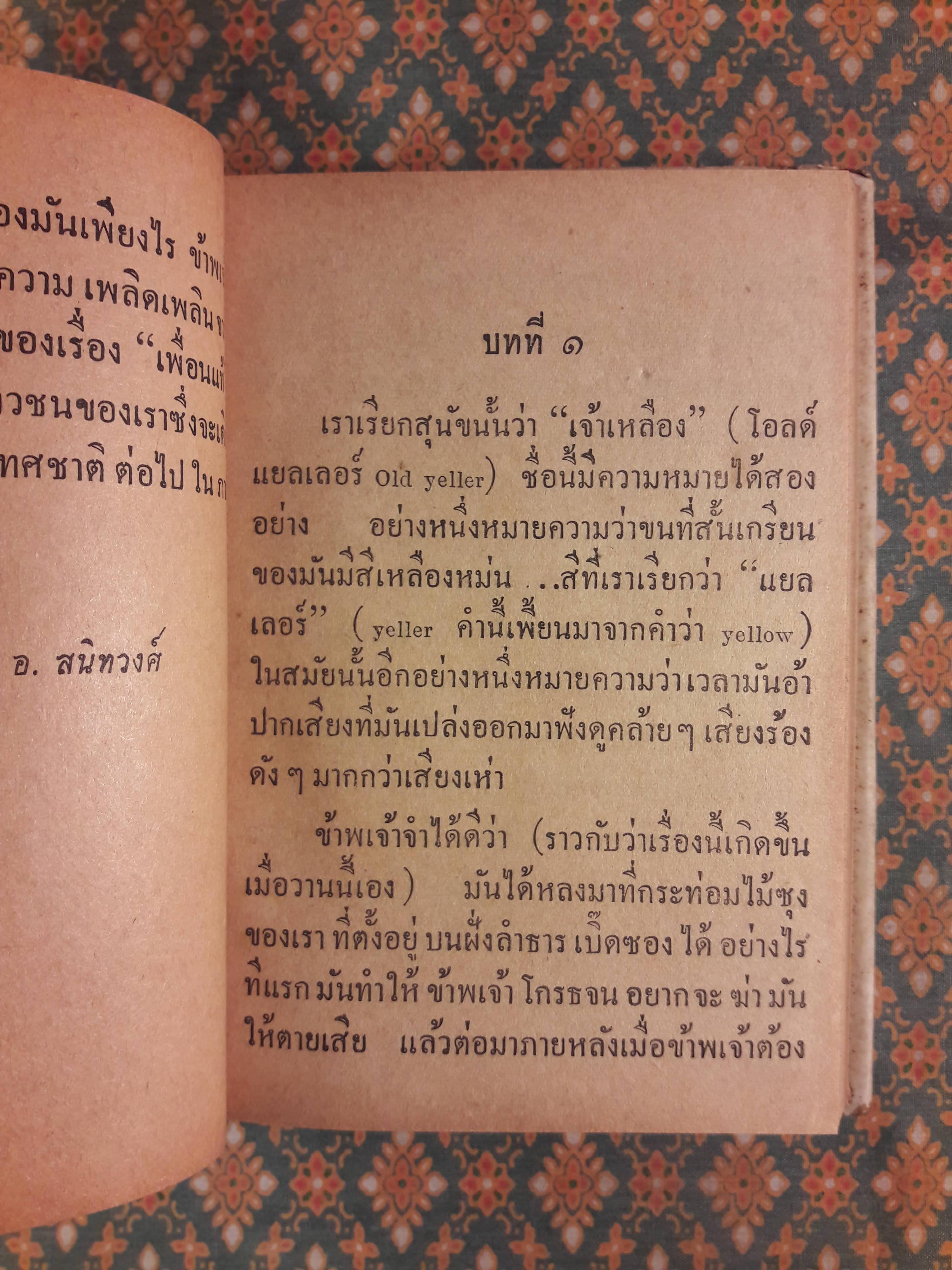 เพื่อนแท้ OLD YELLER