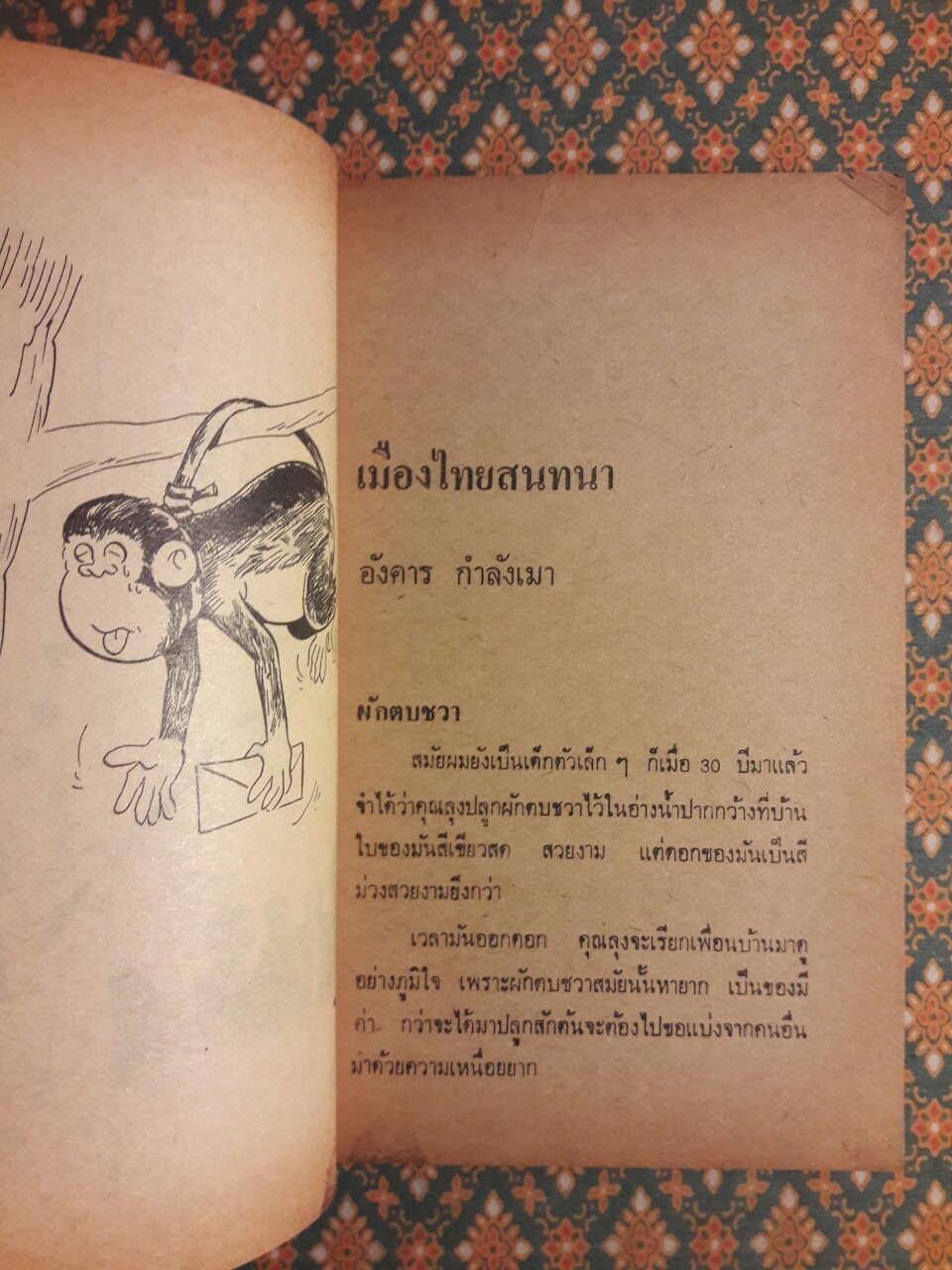 หนอนยิ้ม รวมเรื่องชวนยิ้มของหนอนอันดับที่ 17