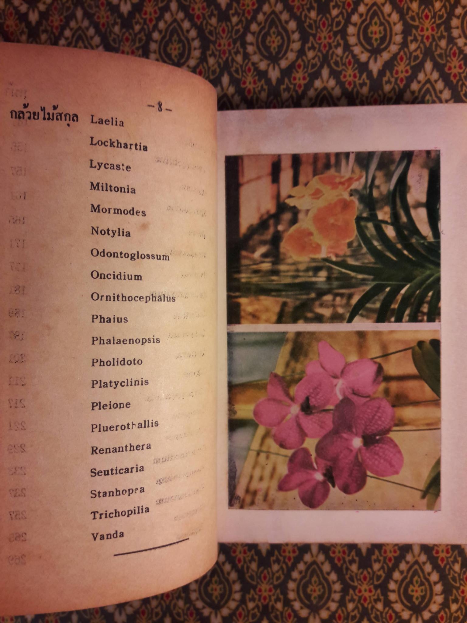 วิธีปลูกและผสมพันธ์กล้วยไม้ไทยและต่างประเทศ Orchids Growing