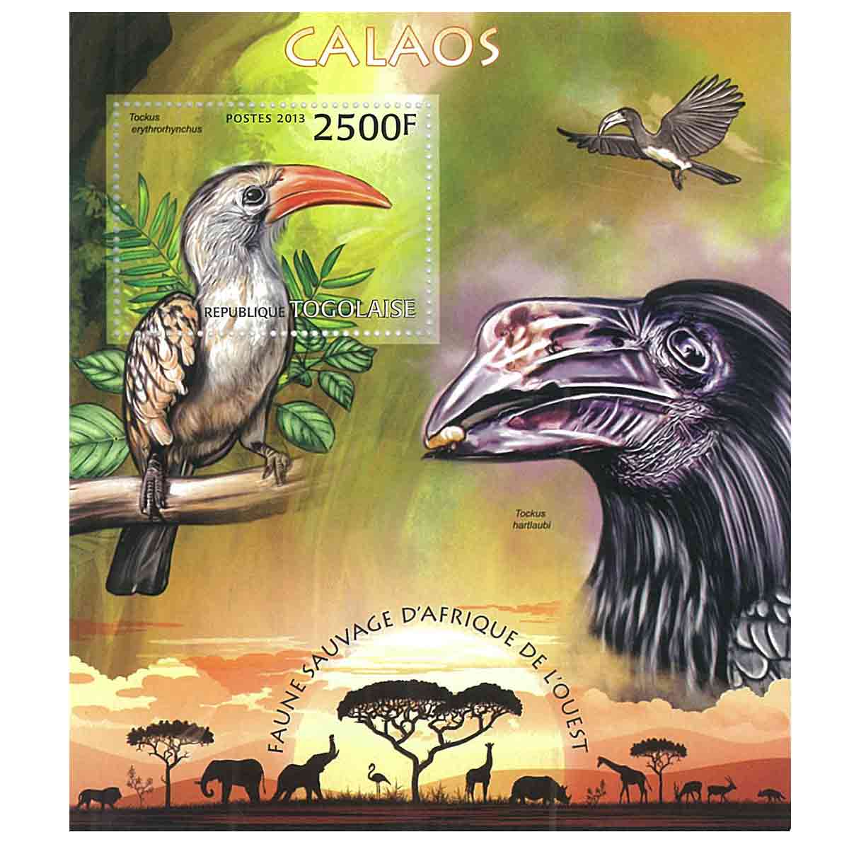 Togo Stamp, 2013 Hornbill, Birds, Wildlife, Animals S/S