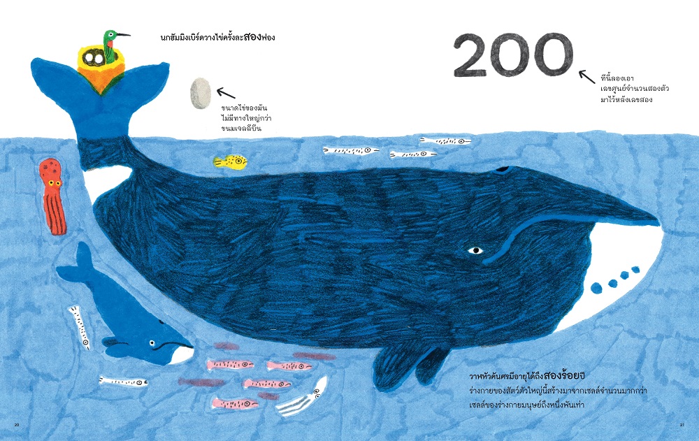 NANMEEBOOKS หนังสือ หมึกไม่มีกระดูก เรียนรู้โลกรอบตัวผ่านการนับ เสริมความรู้สำหรับเด็ก