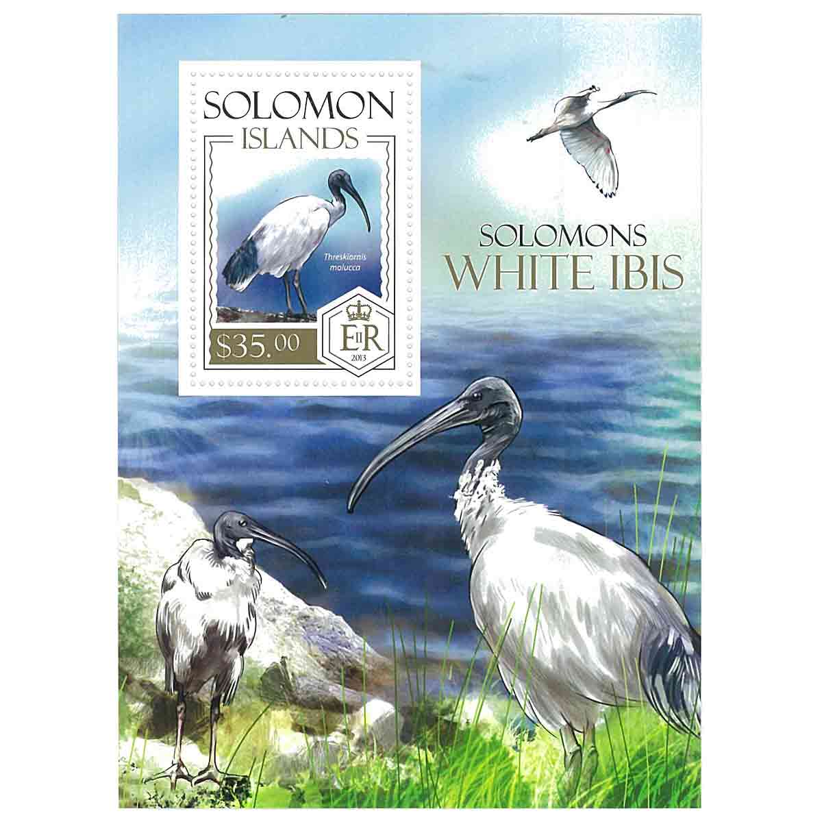 Solomon Islands Stamp, 2013 Solomons White Ibis, Bird S/S