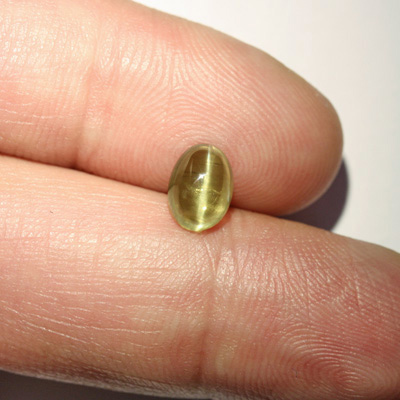 อะพาไทท์ตาแมว (Cat's eye Apatite) 1.54 กะรัต เนื้อใส เม็ดเล็ก น่ารัก