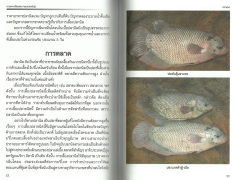 การเลี้ยงและการเพาะขยายพันธุ์ปลาน้ำจืด