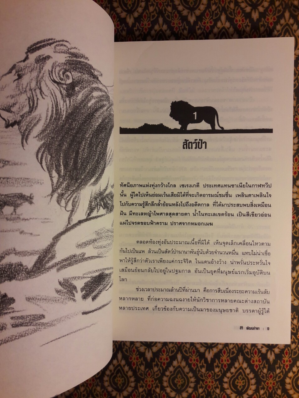 นักฆ่าแห่งกาฬทวีป