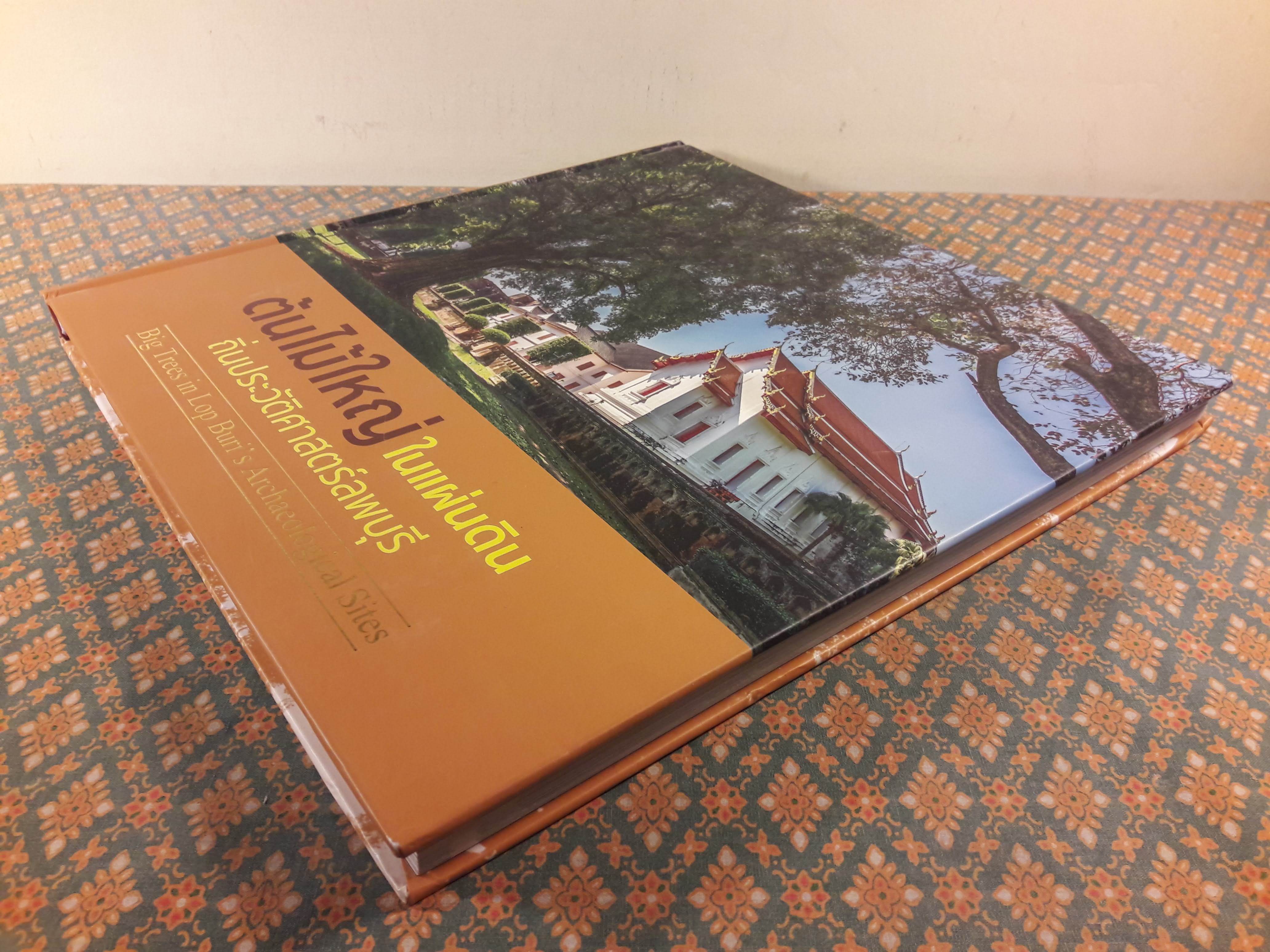 ต้นไม้ใหญ่ในแผ่นดินถิ่นประวัติศาสตร์ลพบุรี Big Trees in Lop Buri's Archacological Sites