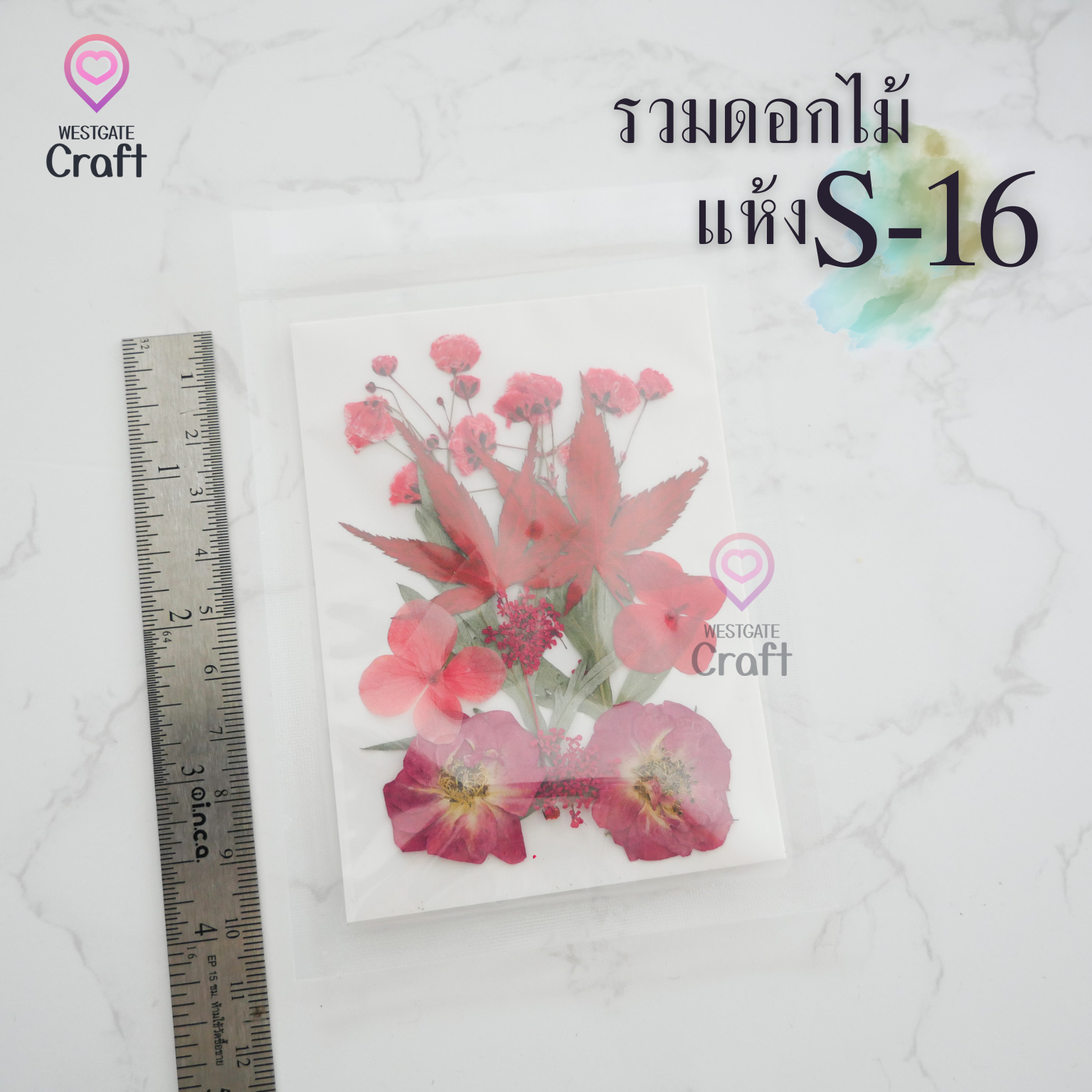 รวมดอกไม้แห้ง S ดอกไม้แห้งทับ ดอกไม้แบบคละ