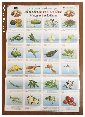 โปสเตอร์ พืชผักนานาชนิด