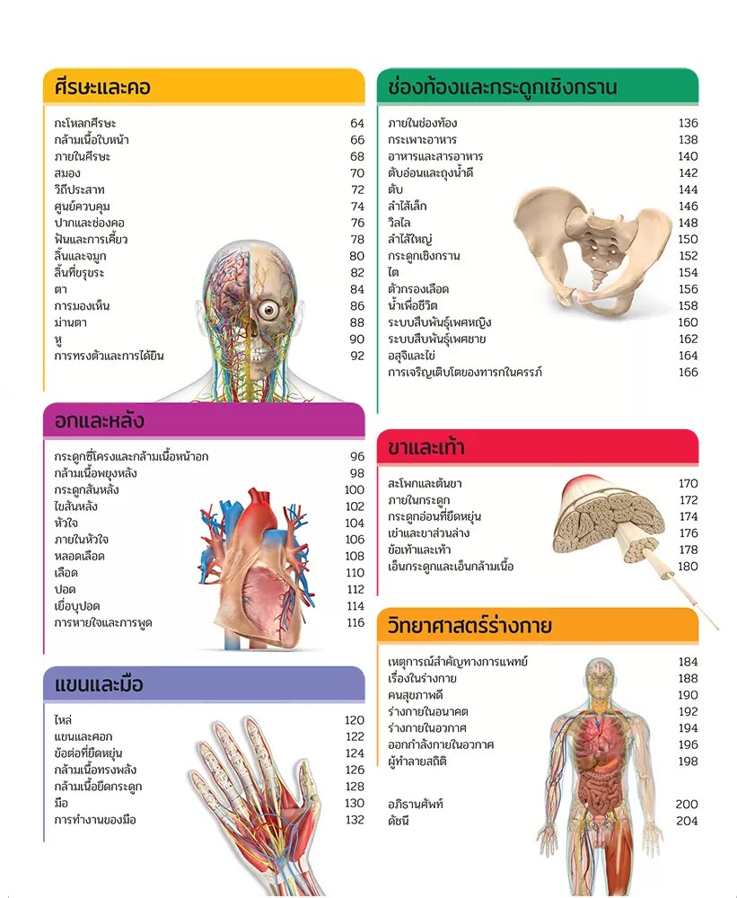 NANMEEBOOKS หนังสือ สารานุกรมความรู้ ร่างกายมนุษย์ : สารานุกรม วิทยาศาสตร์ DK Knowledge Encyclopedia HumanBody