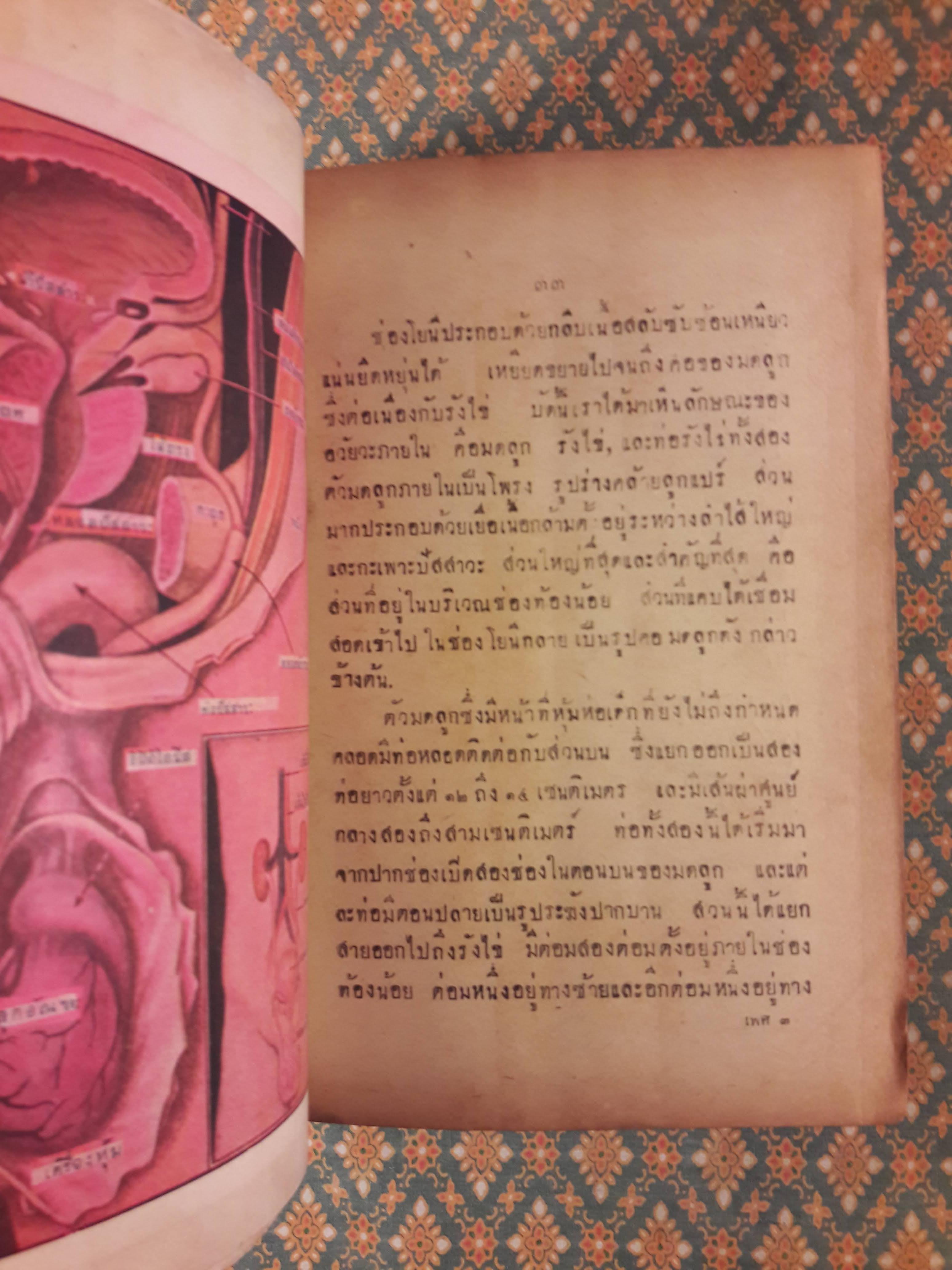เพศศาสตร์ Encyclopedia of Sexual Knowledge